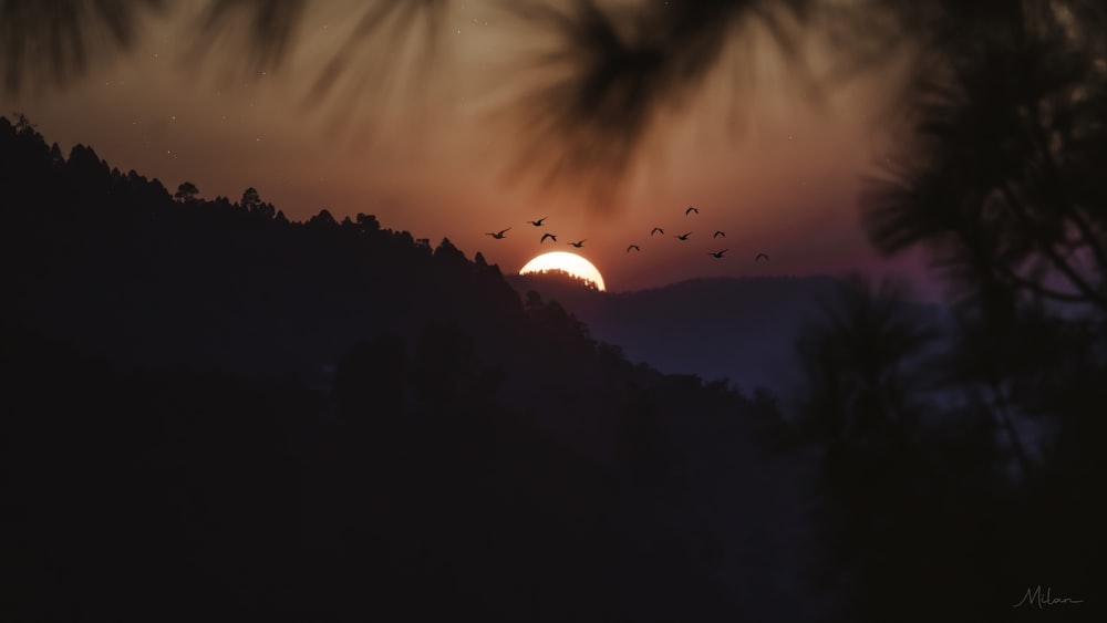 the sun is setting over the mountains with birds flying in the sky
