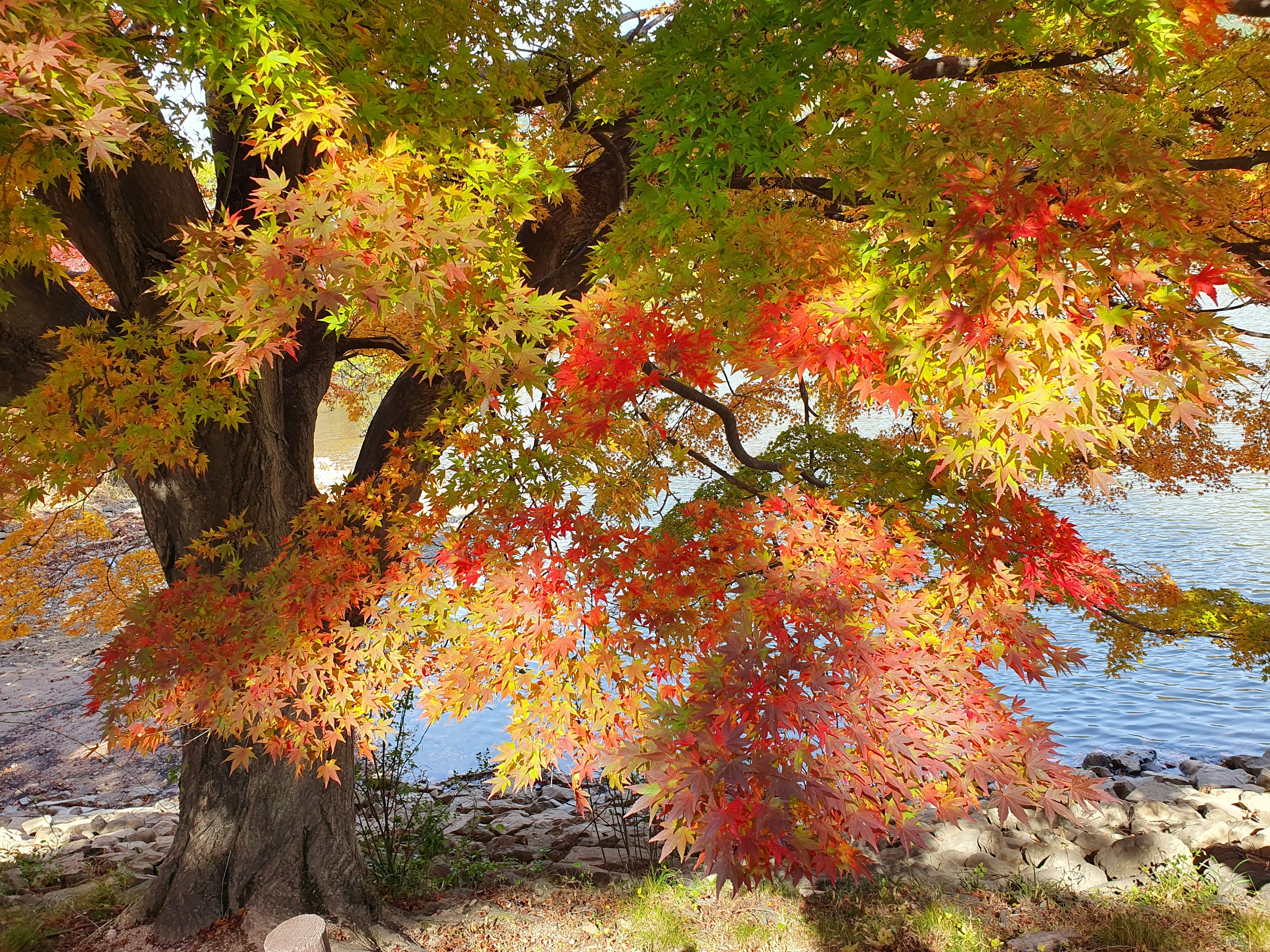 Photo by gyungsoo_kim