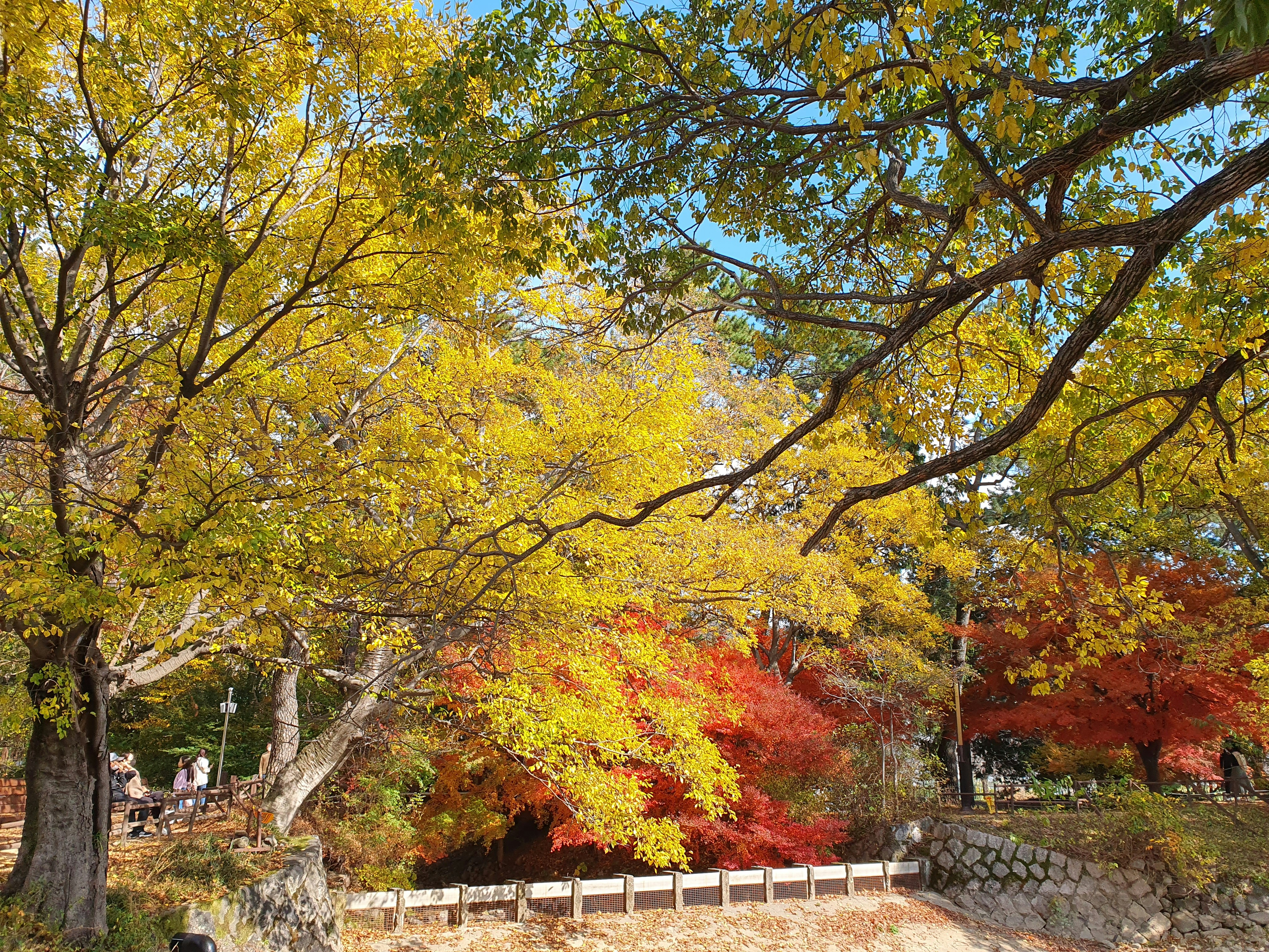 Photo by gyungsoo_kim