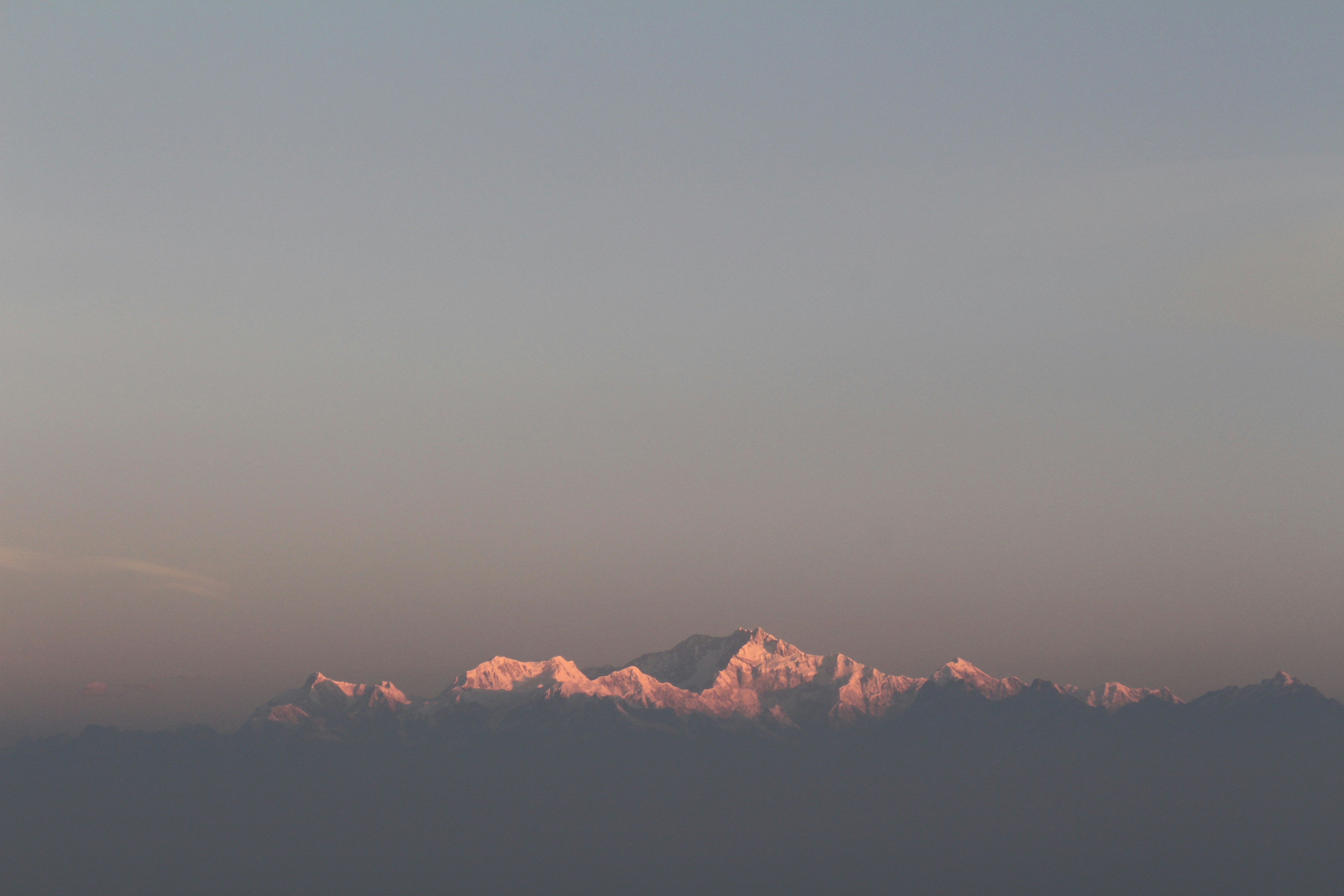 Photo by procheta_neogi