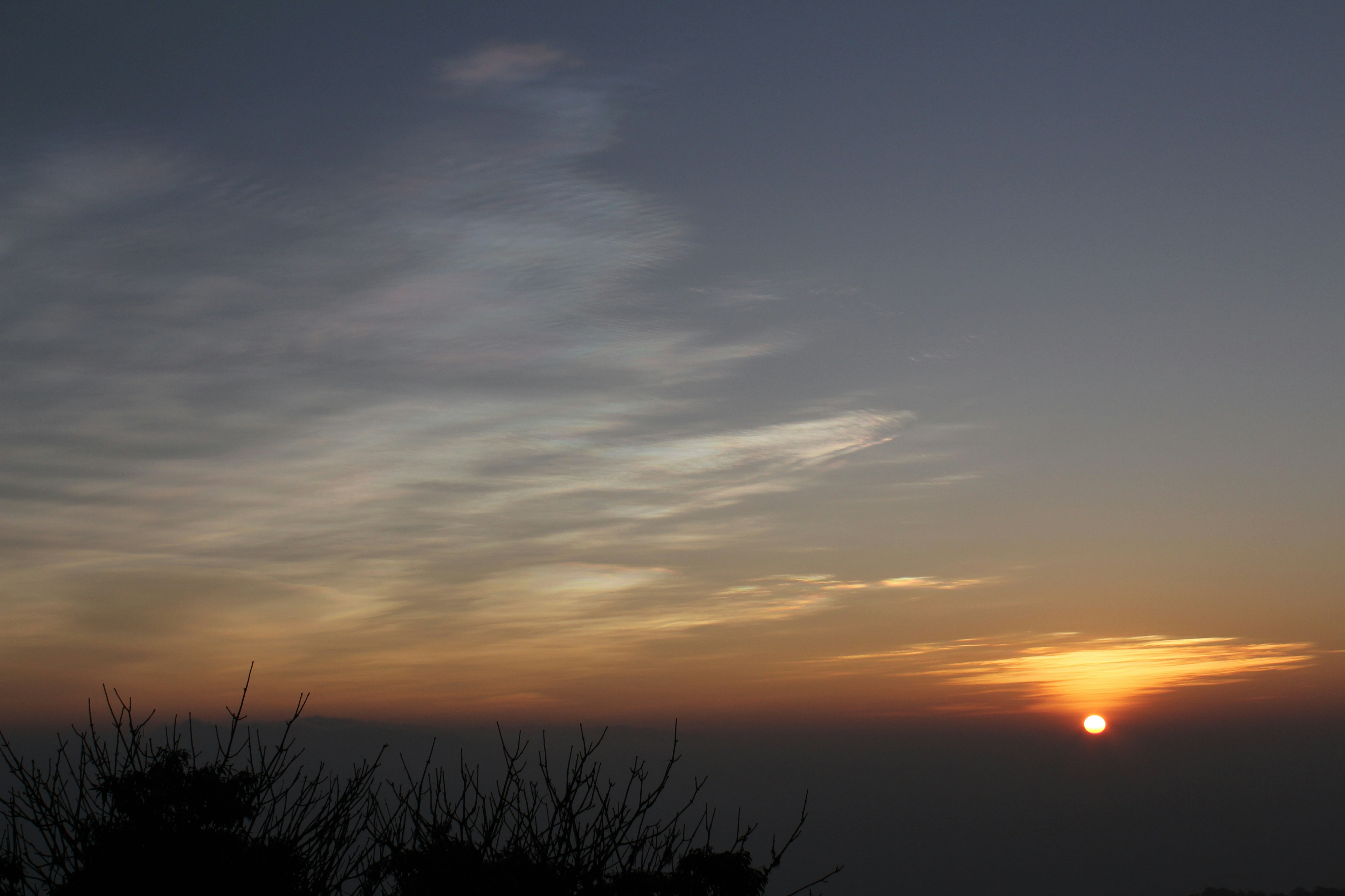 Photo by procheta_neogi