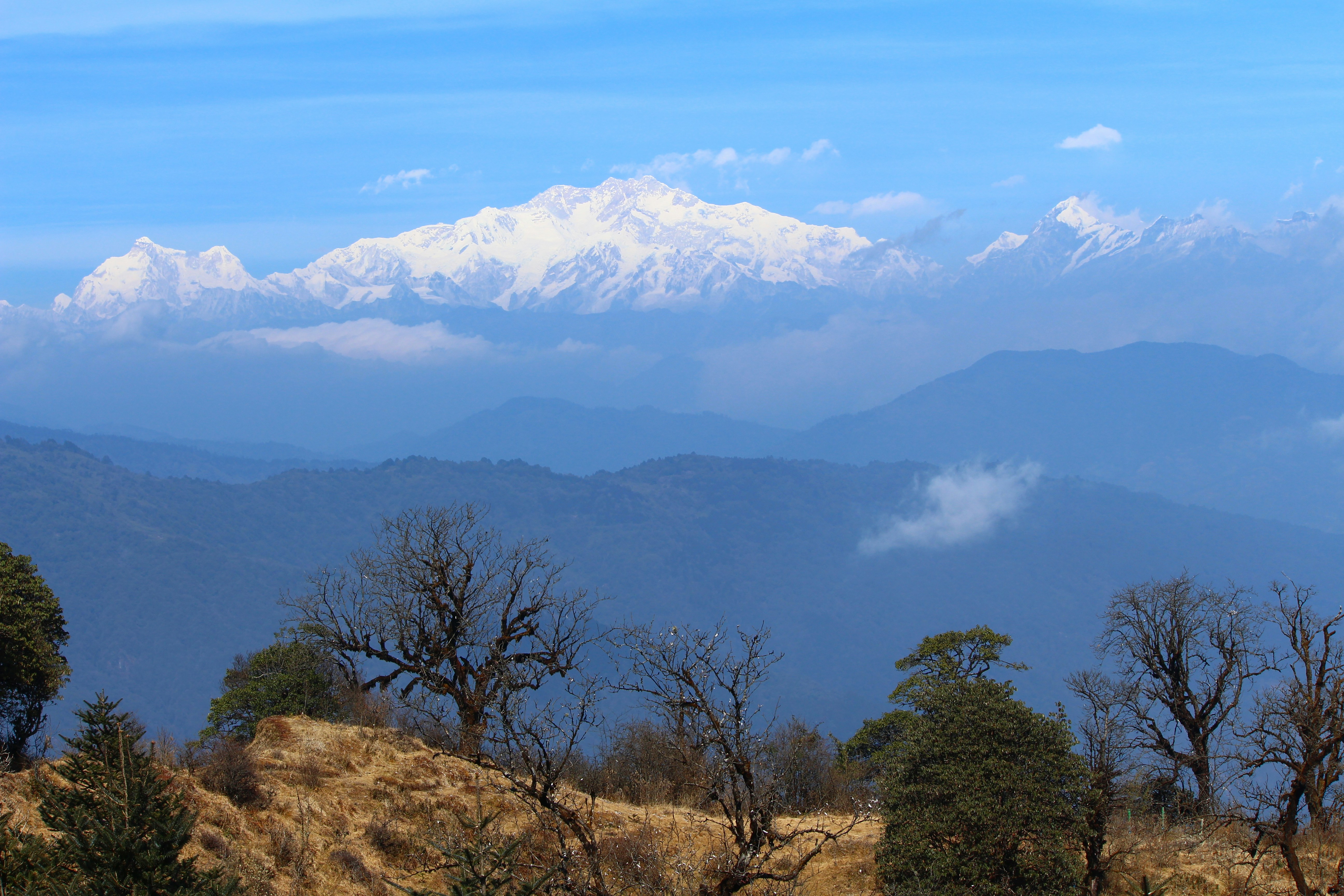 Photo by procheta_neogi