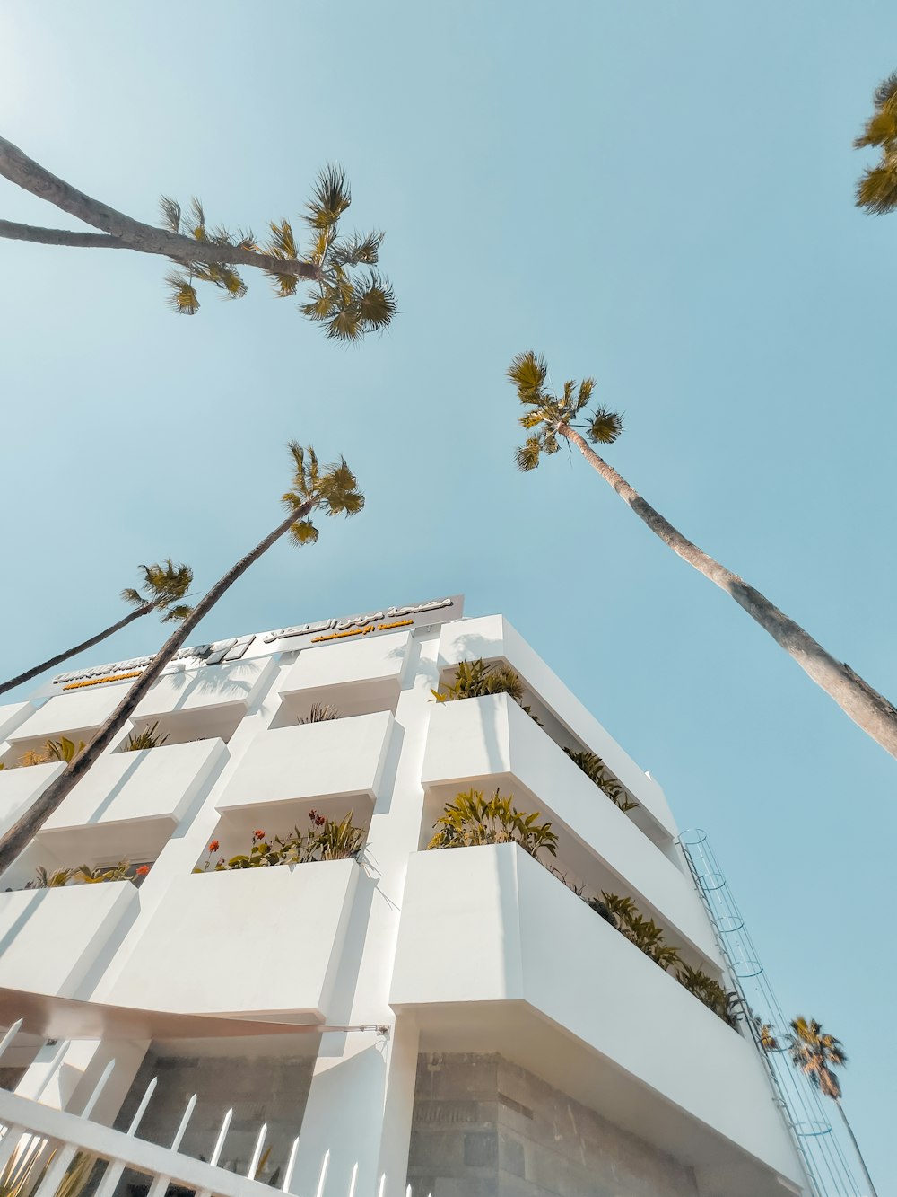 looking up at a tall white building with palm trees