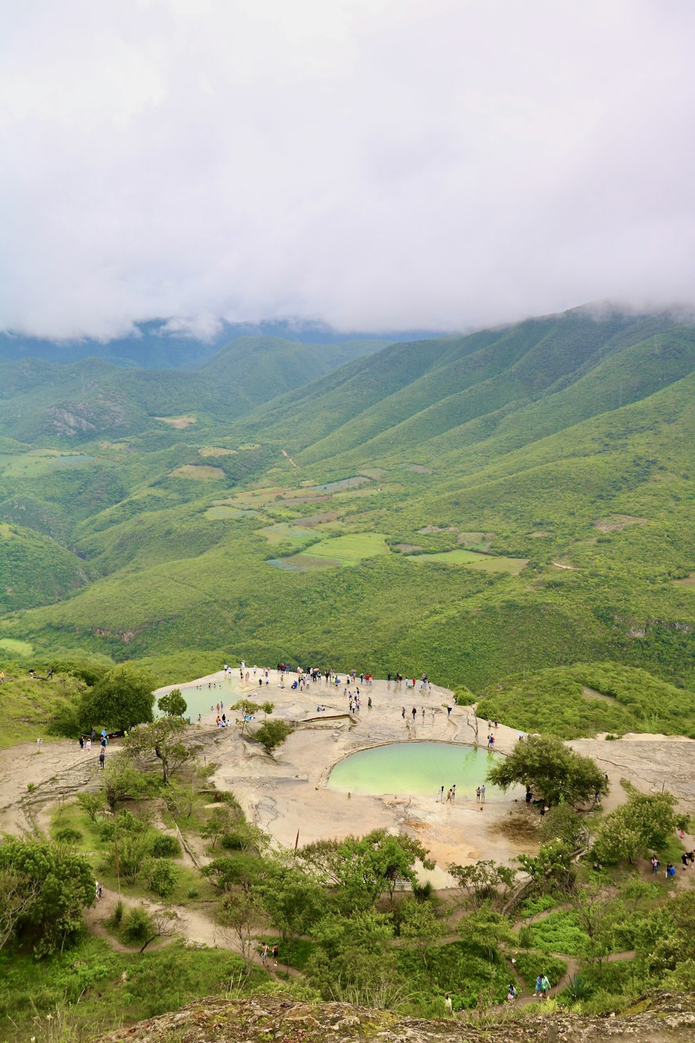 a group of people standing on top of a lush green hillside