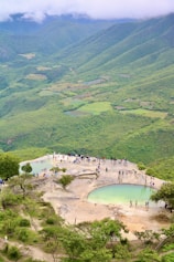 a group of people standing on top of a lush green hillside
