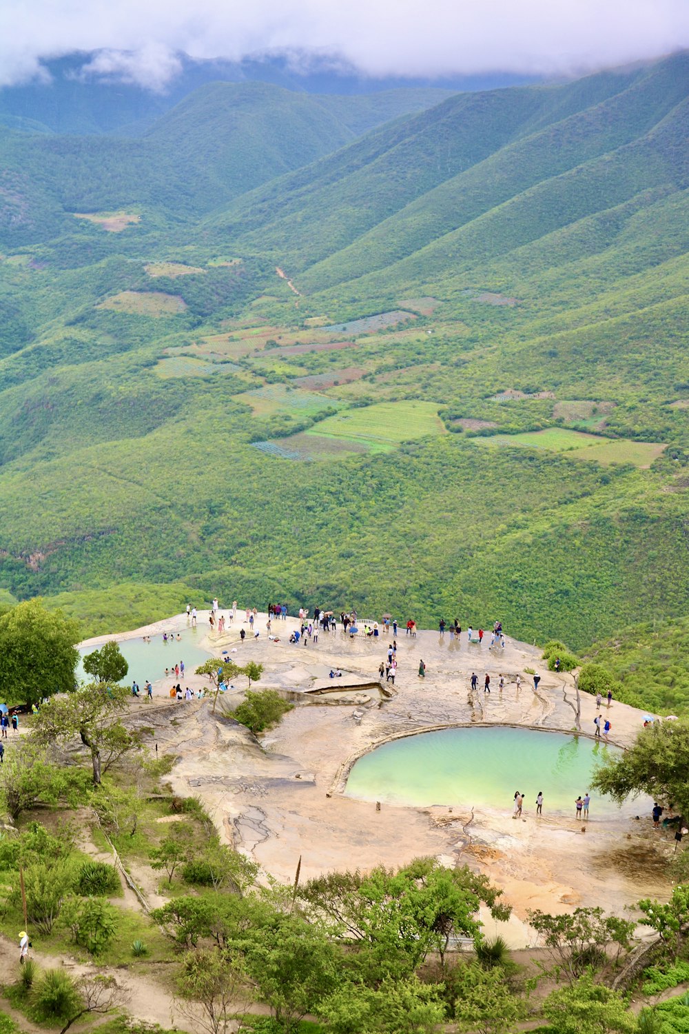 a group of people standing on top of a lush green hillside