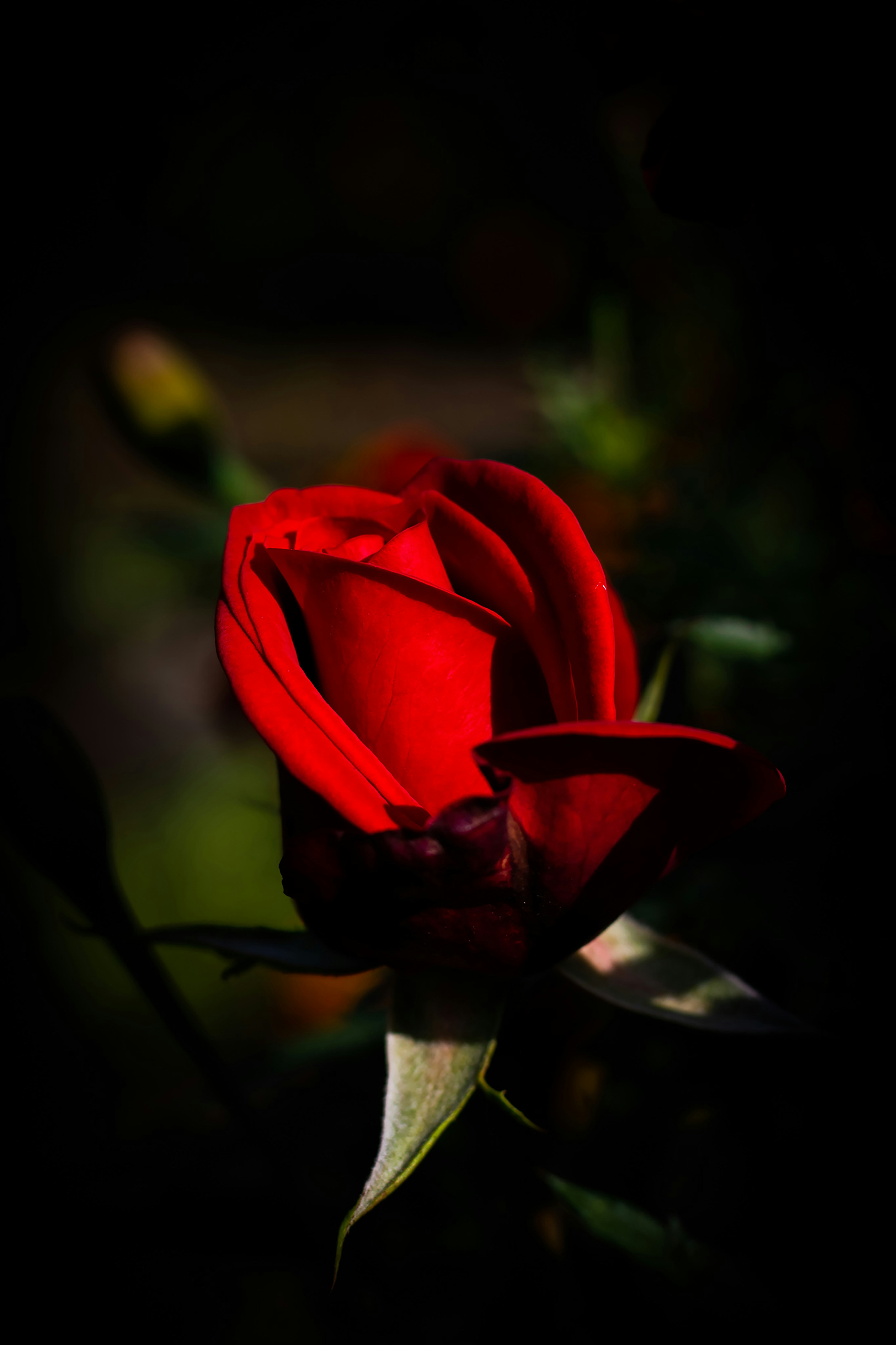 Photo by modakswapnil