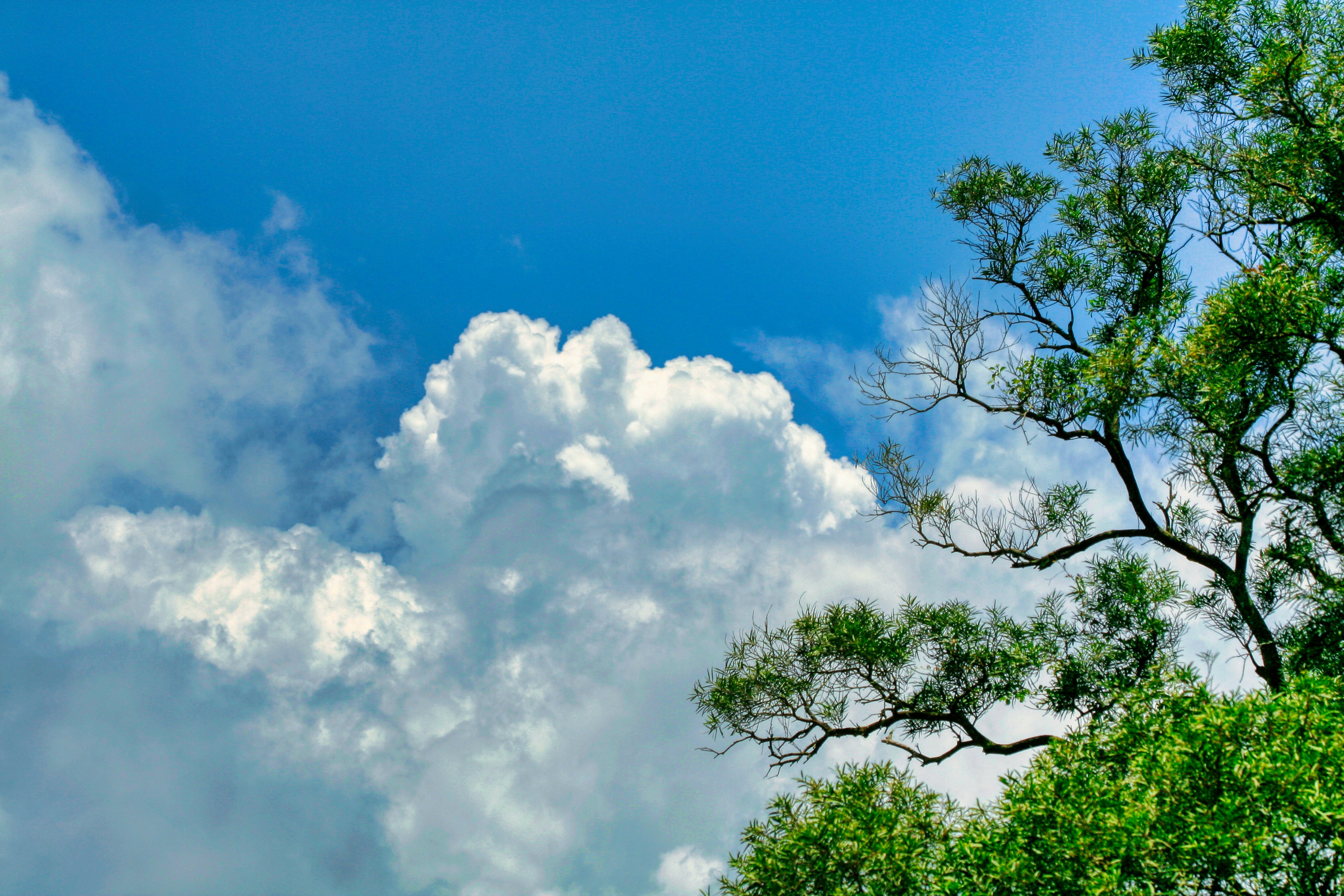 Photo by thomaskinto