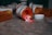 Several prescription pill bottles are scattered on a surface, some lying on their sides with colorful heart-shaped pills spilling out.