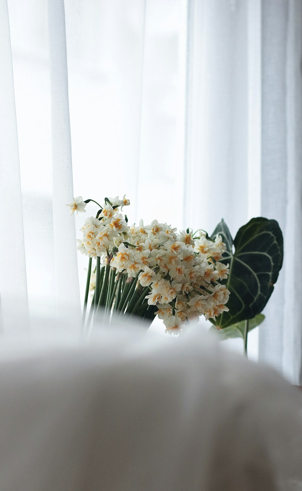 a bouquet of white flowers sitting on top of a bed