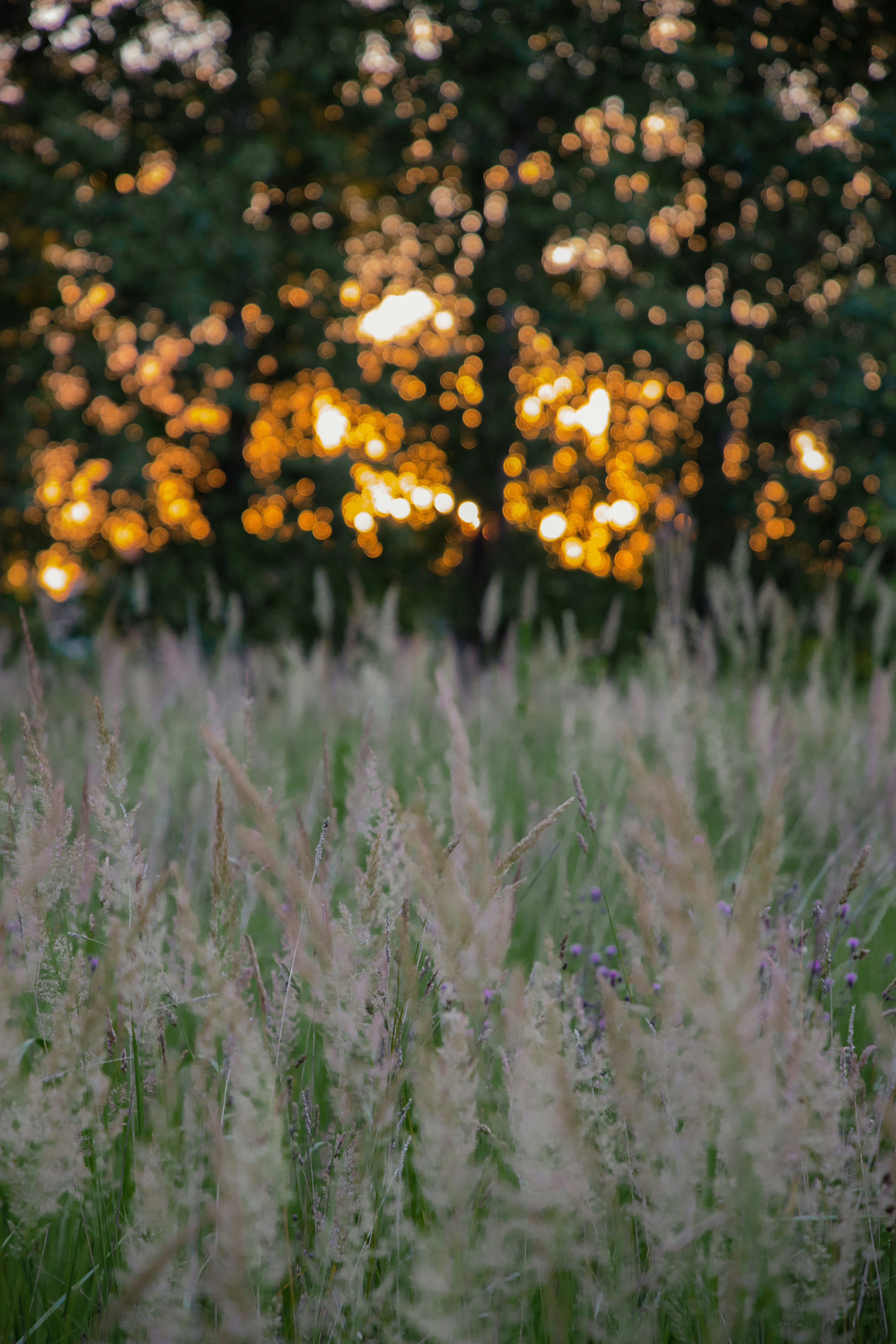 Photo by jovanvasiljevic