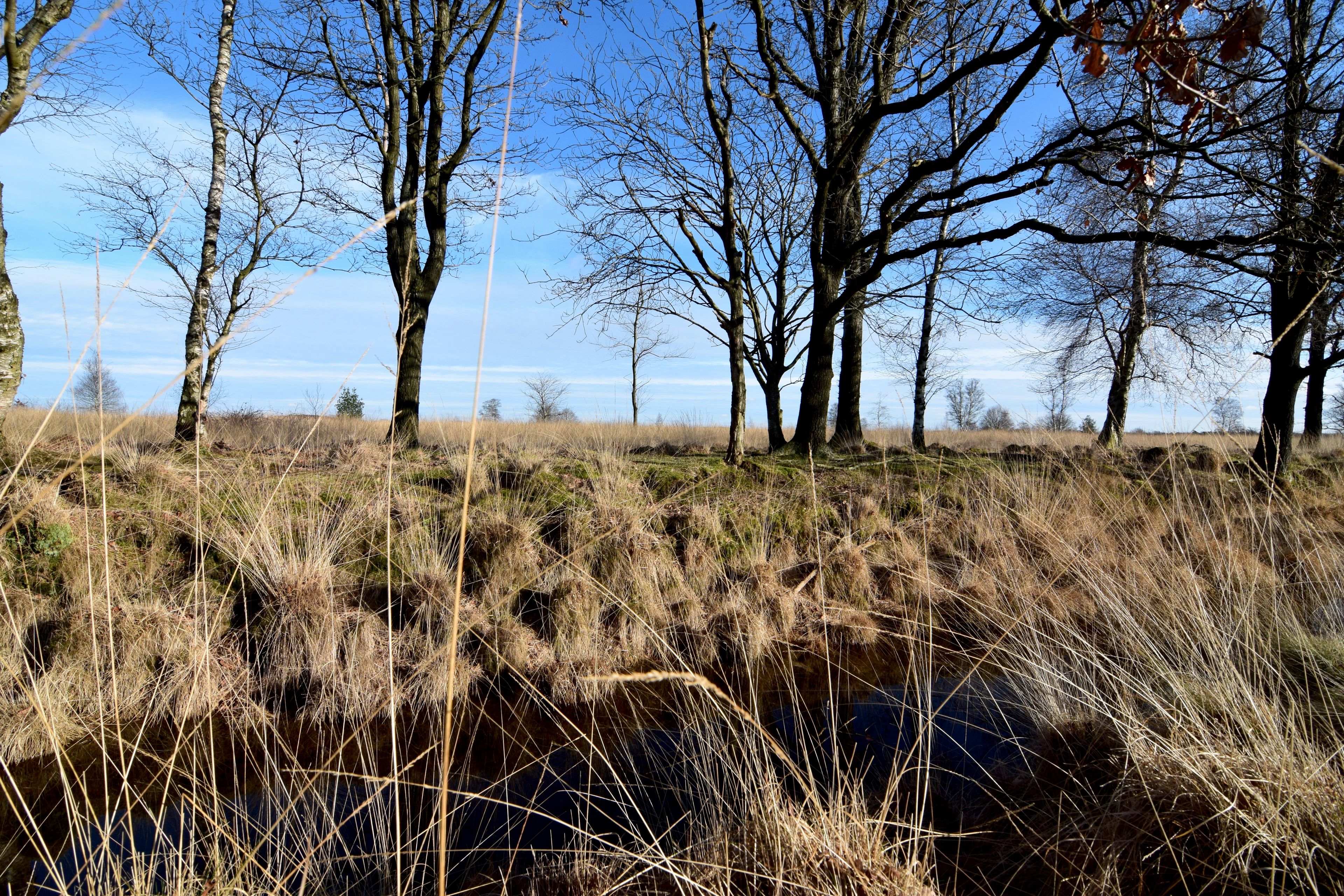Foto aus Drenthe