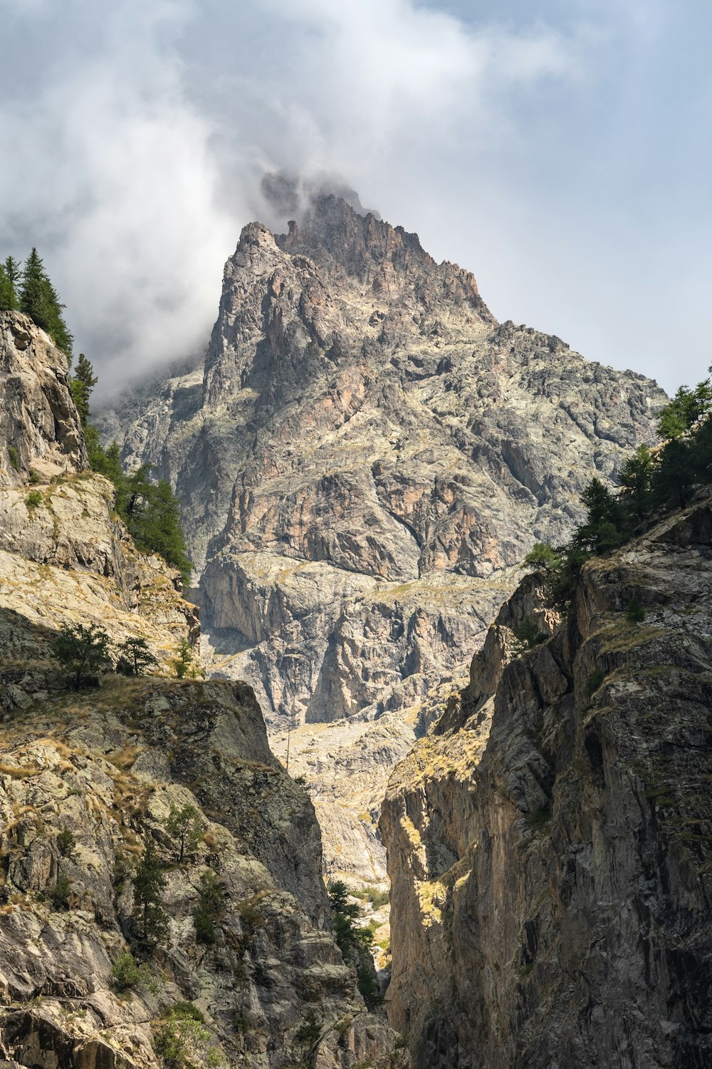 a rocky mountain with a few trees on it