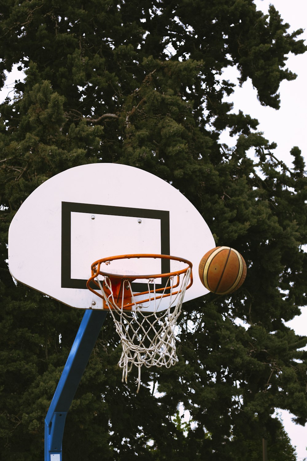 Ein Basketball, der durch den Reifen eines Basketballkorbs geht