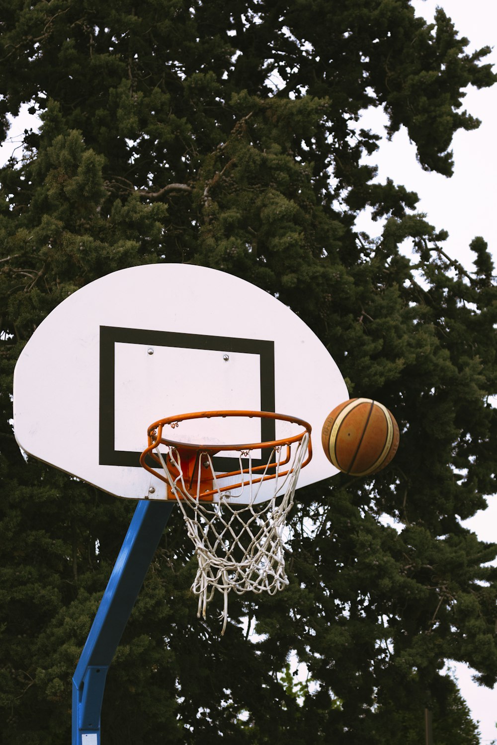 un ballon de basket passant par le cerceau d’un panier de basket-ball