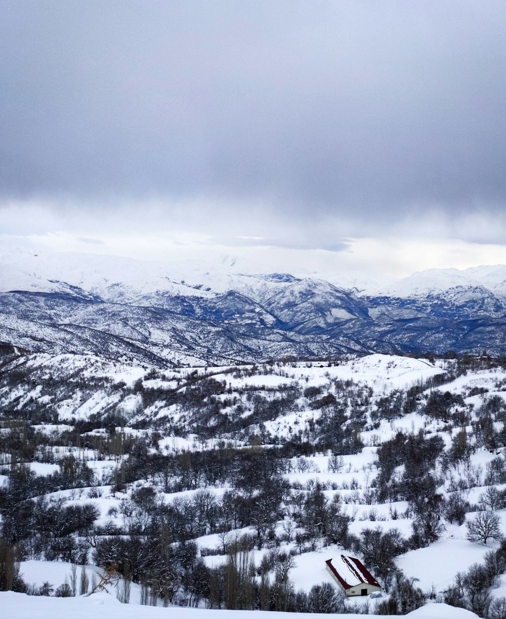 a snowy landscape with mountains in the distance