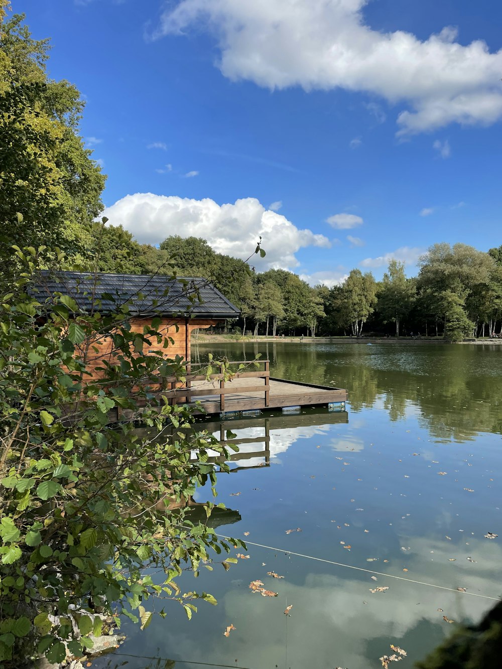 a dock on a lake surrounded by trees