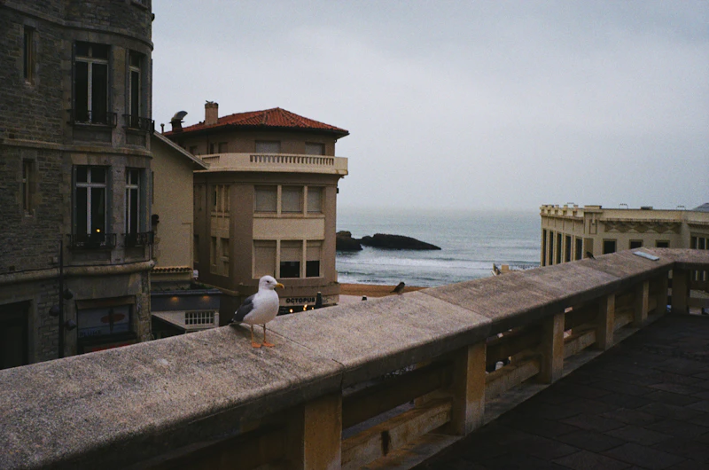 What to Do in Biarritz in a Weekend: A Complete 48-Hour Guide