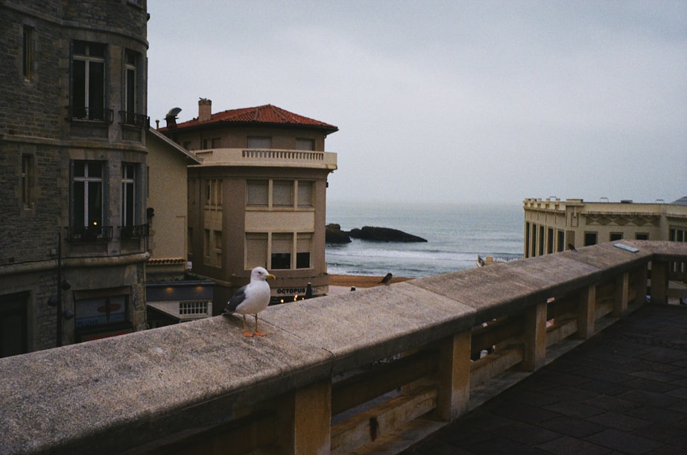 a seagull sitting on the roof of a building overlooking the ocean