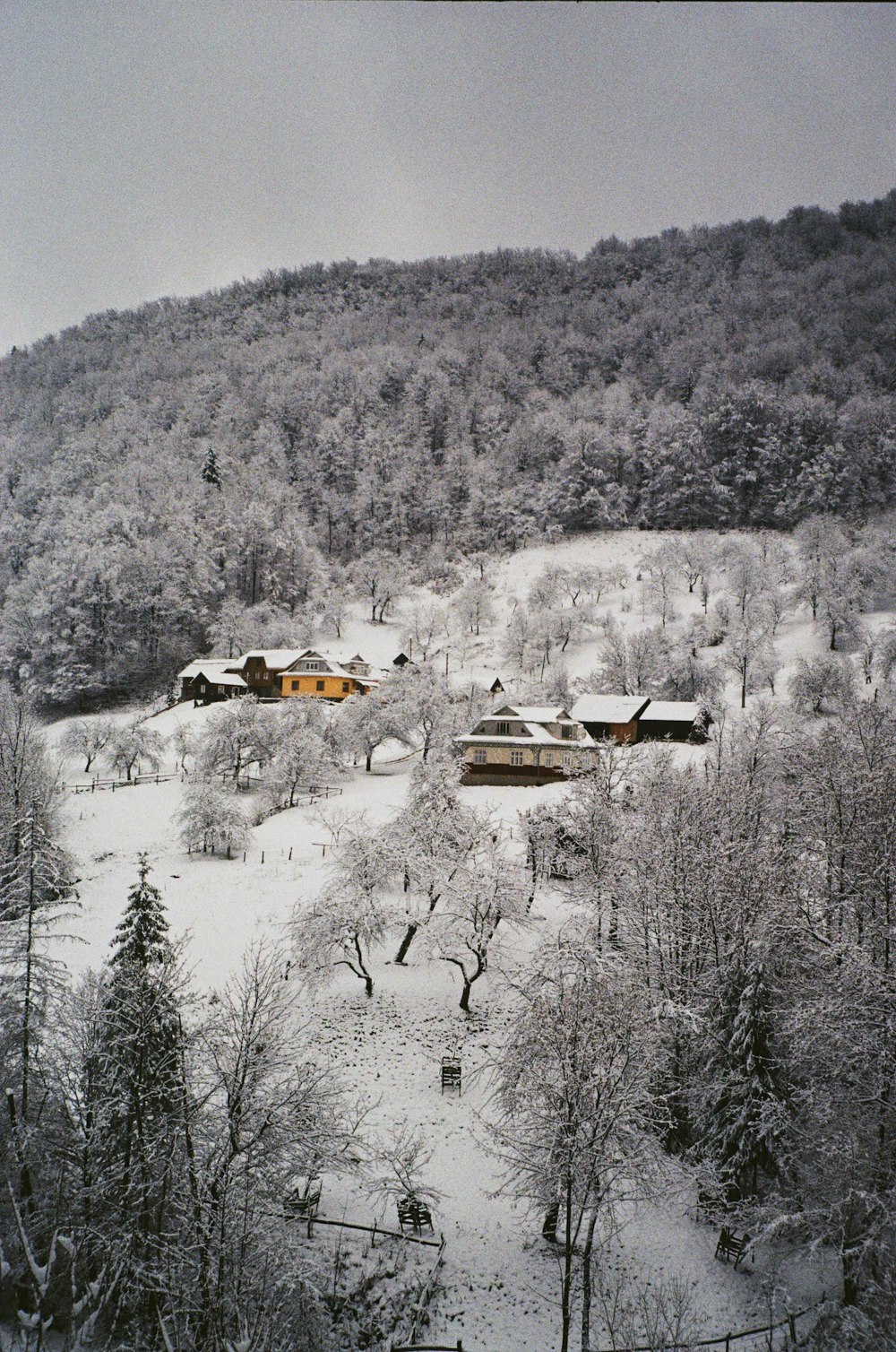 Eine verschneite Landschaft mit Häusern und Bäumen im Vordergrund