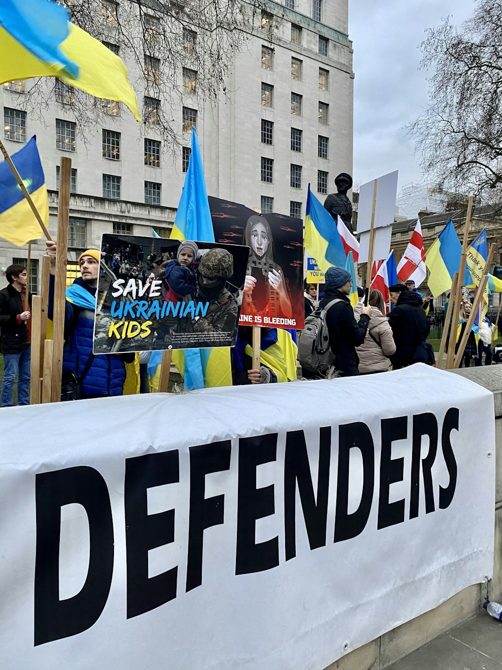 un groupe de personnes tenant des pancartes et des drapeaux