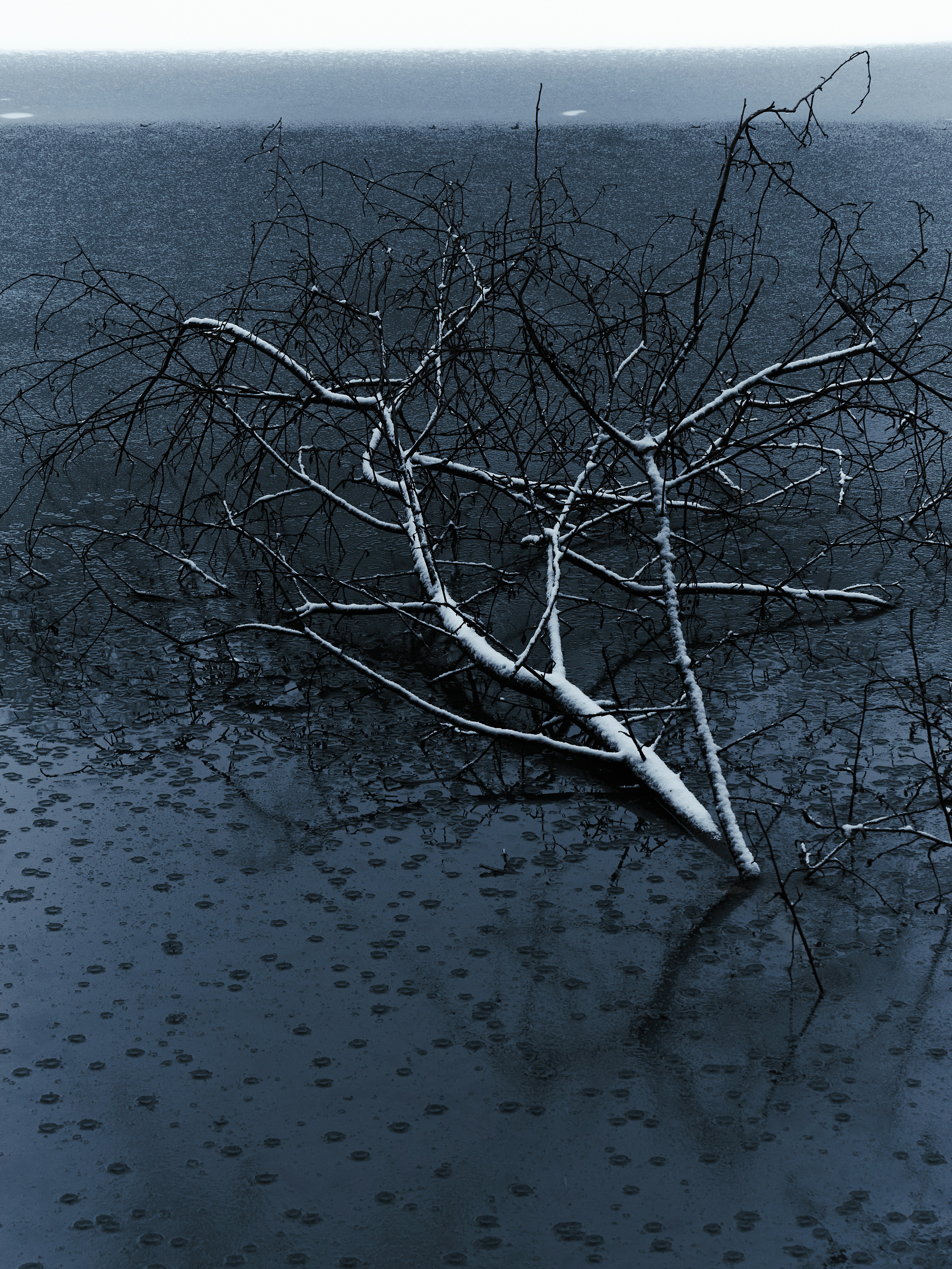 Photo by jkalina