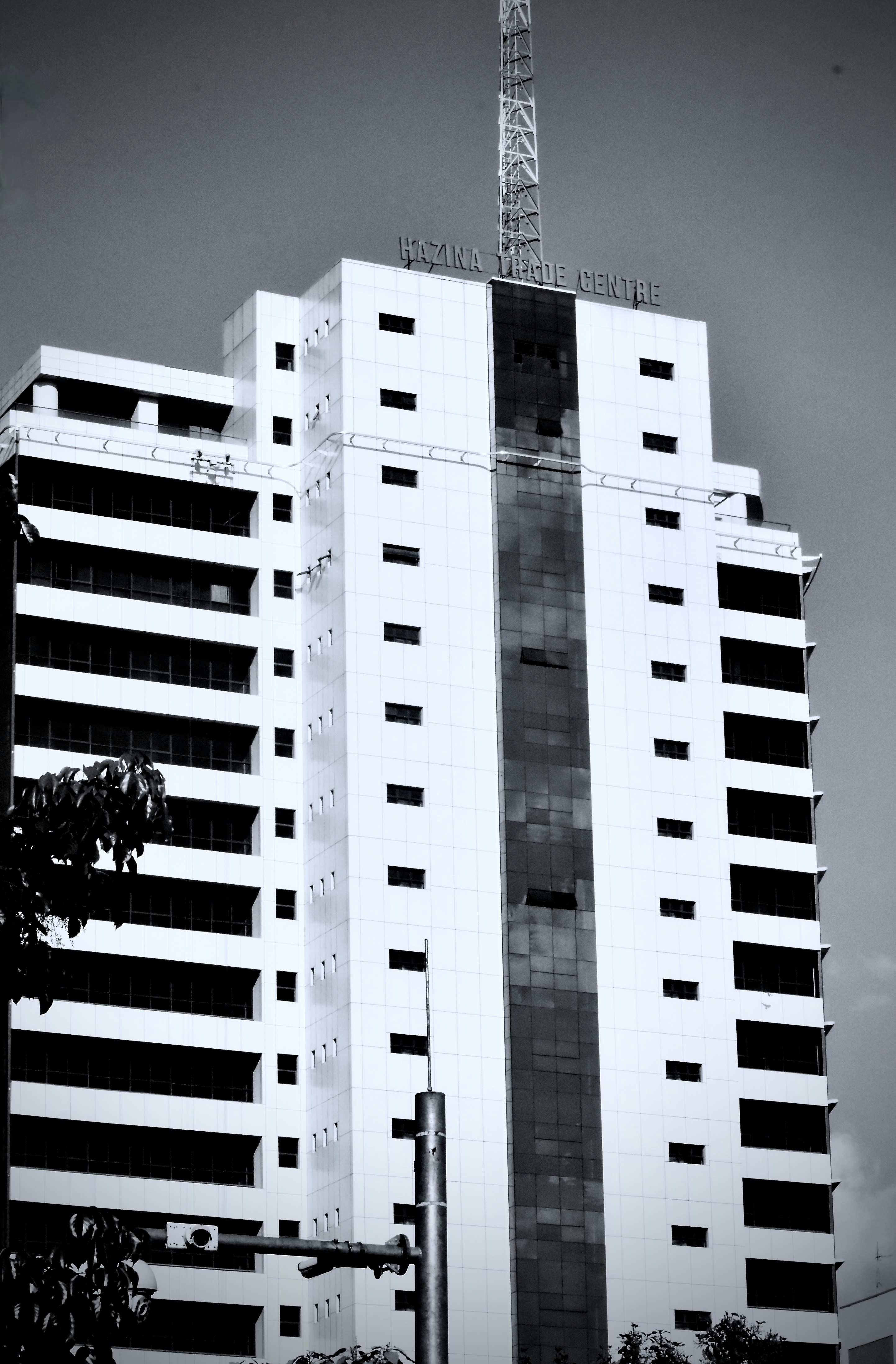 Photo by stevecameup