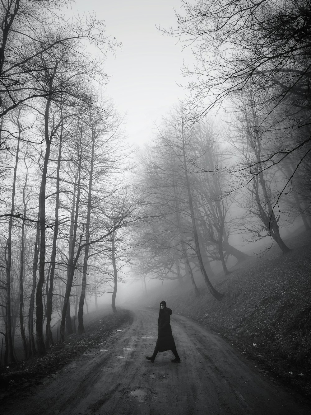 a person walking down a dirt road in the woods