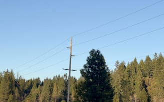 A Hydro One technician inspecting power lines in a quiet rural Ontario neighborhood.