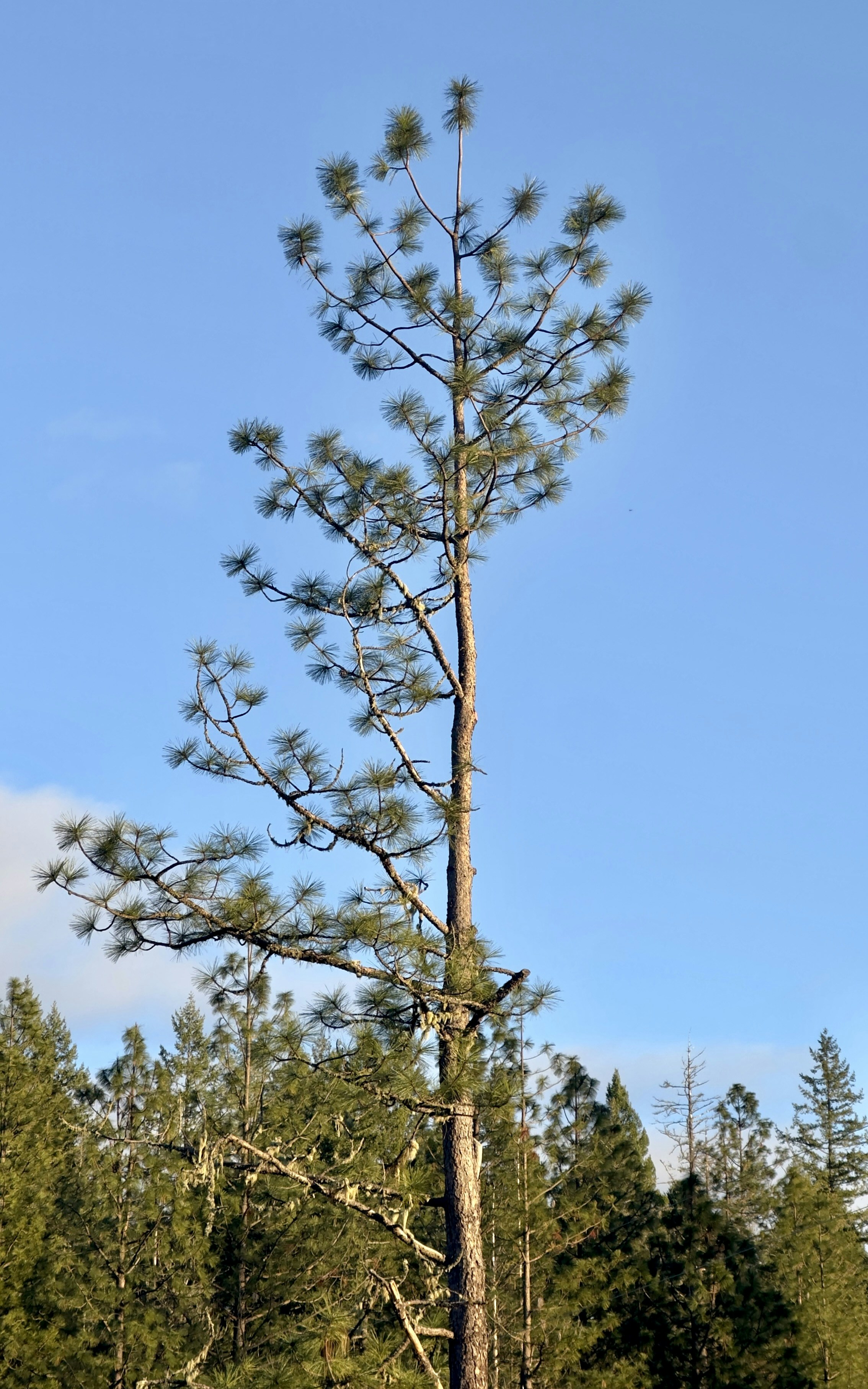 Photo by szijjartosky