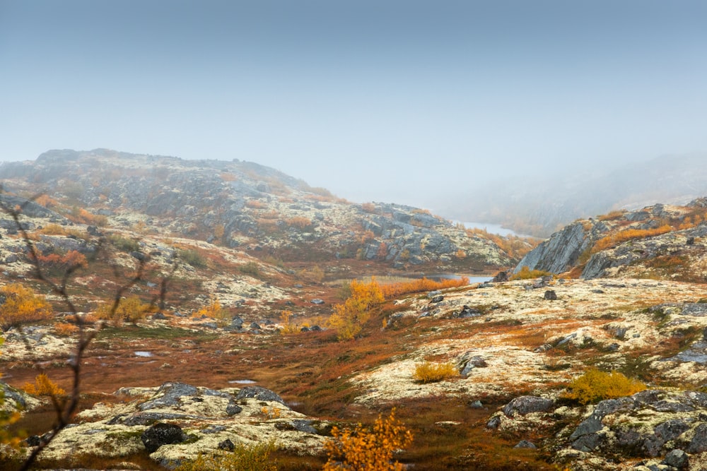 a foggy mountain landscape with trees and rocks