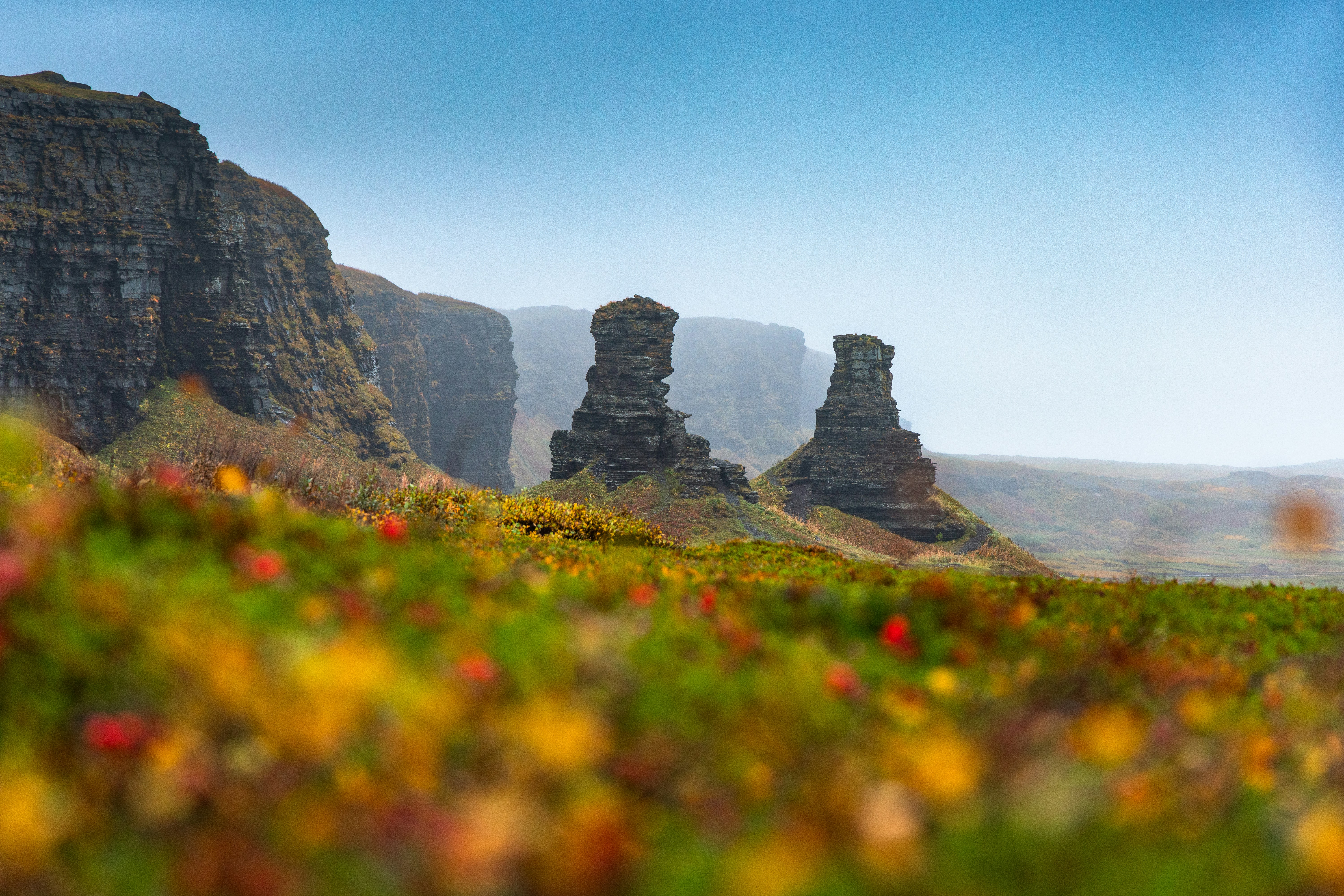 Un campo cubierto de hierba con flores y rocas en el fondo foto – Imagen de  Otoño gratuita en Unsplash, image size:3000x2001