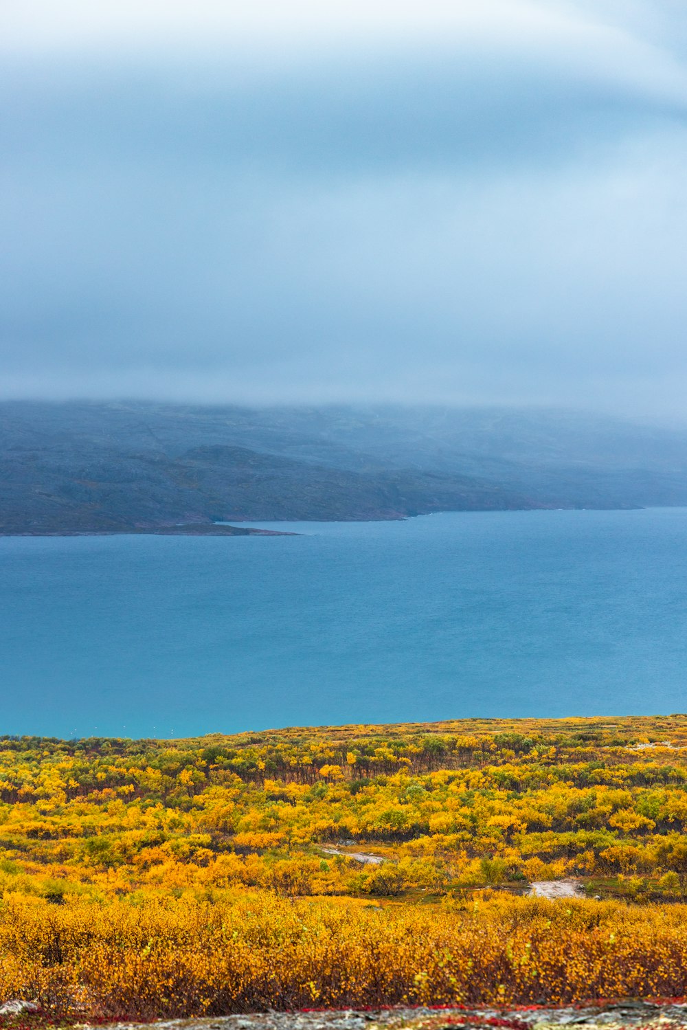 a large body of water sitting next to a lush green field