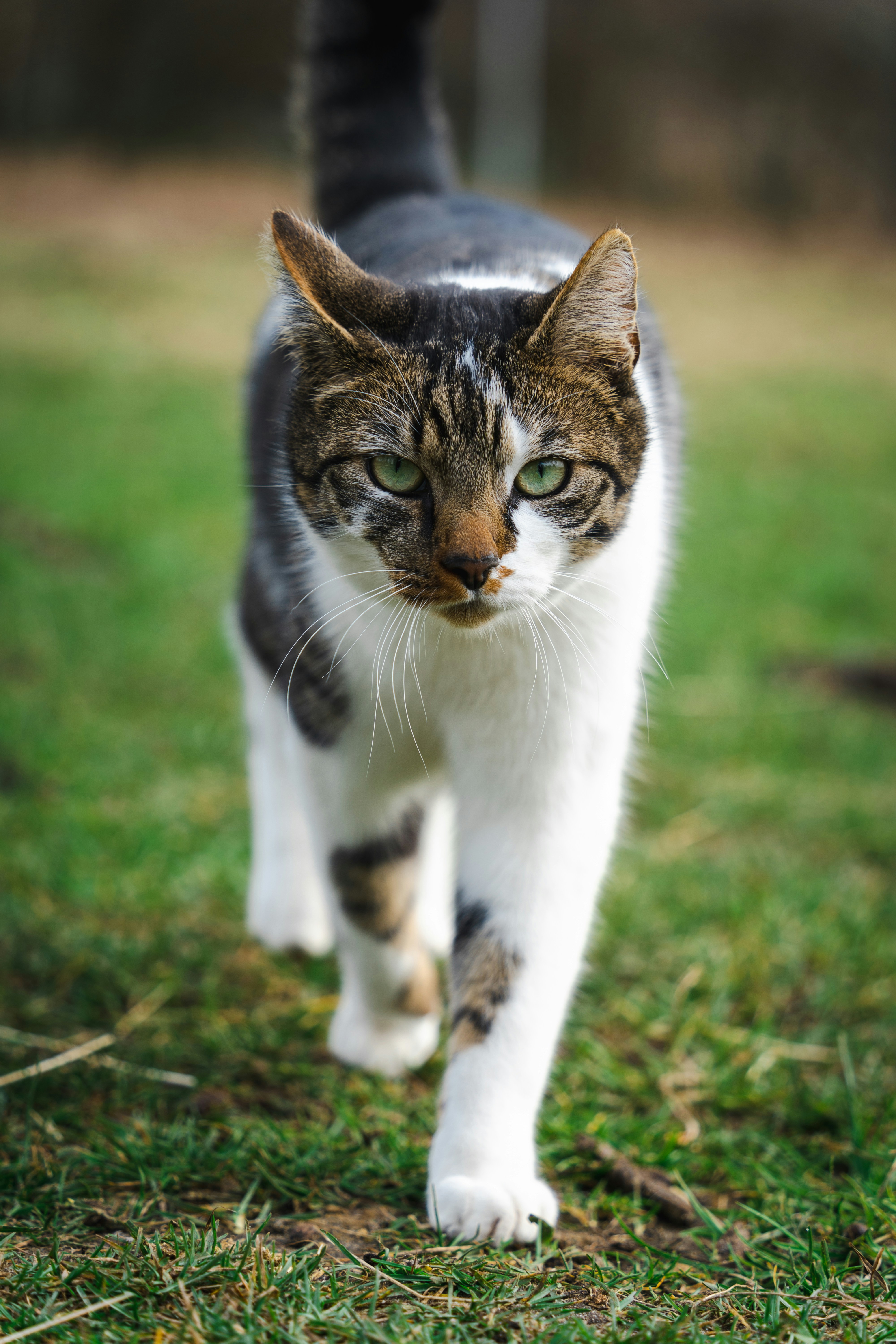 Photo by __evanyang__