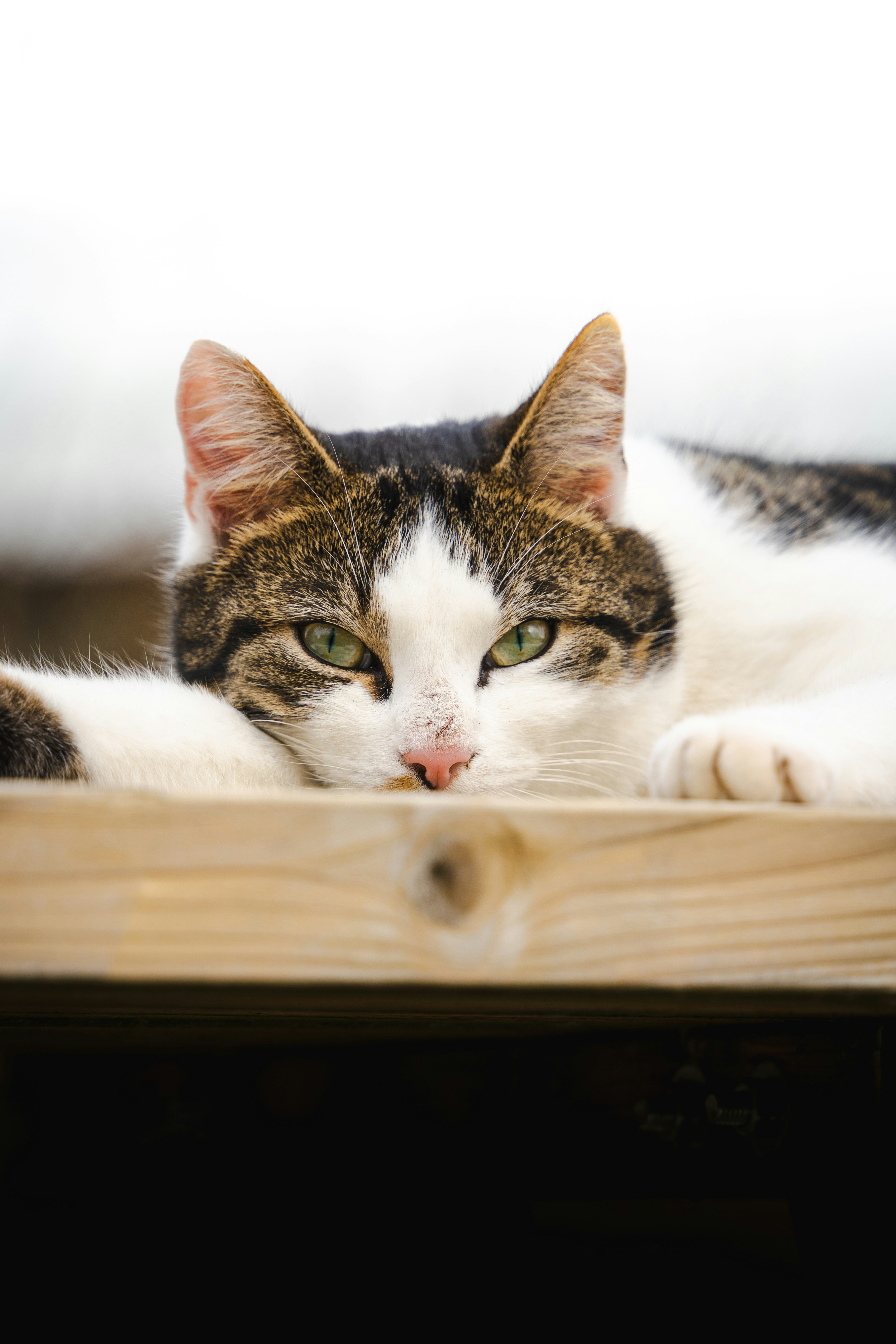 Photo by __evanyang__