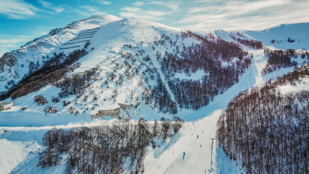 a mountain covered in snow and surrounded by trees