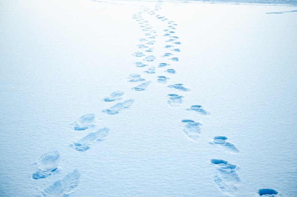 a long line of footprints in the snow