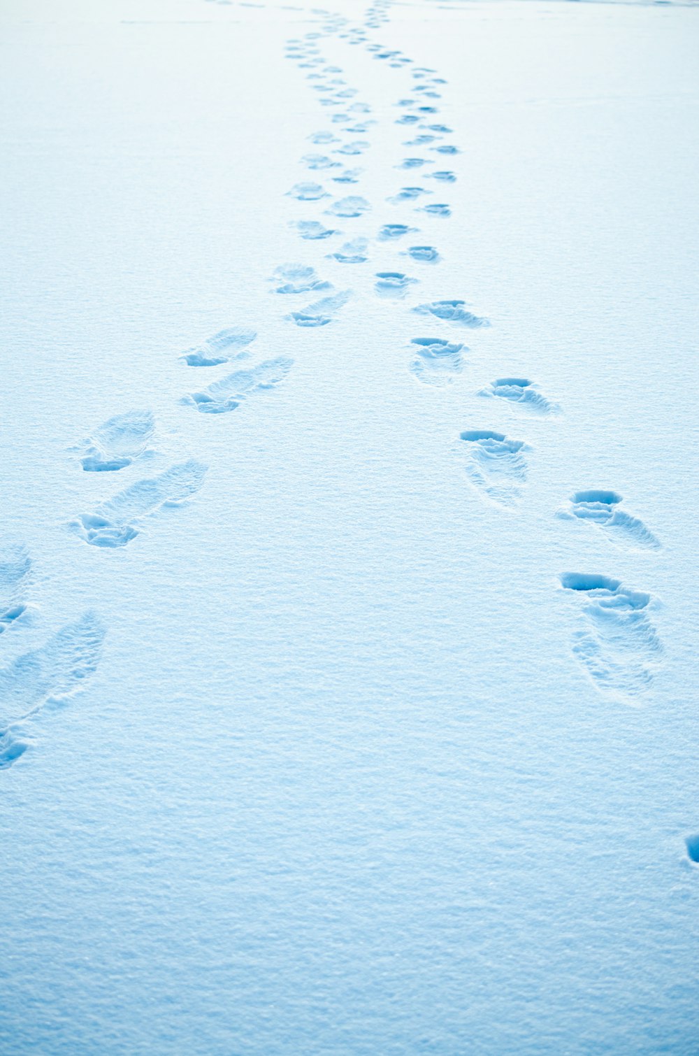 a long line of footprints in the snow