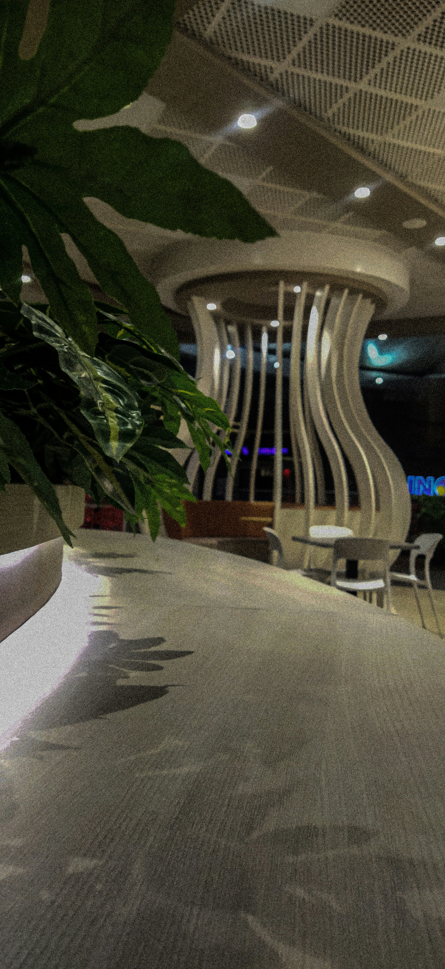 Live Edge Walnut Table