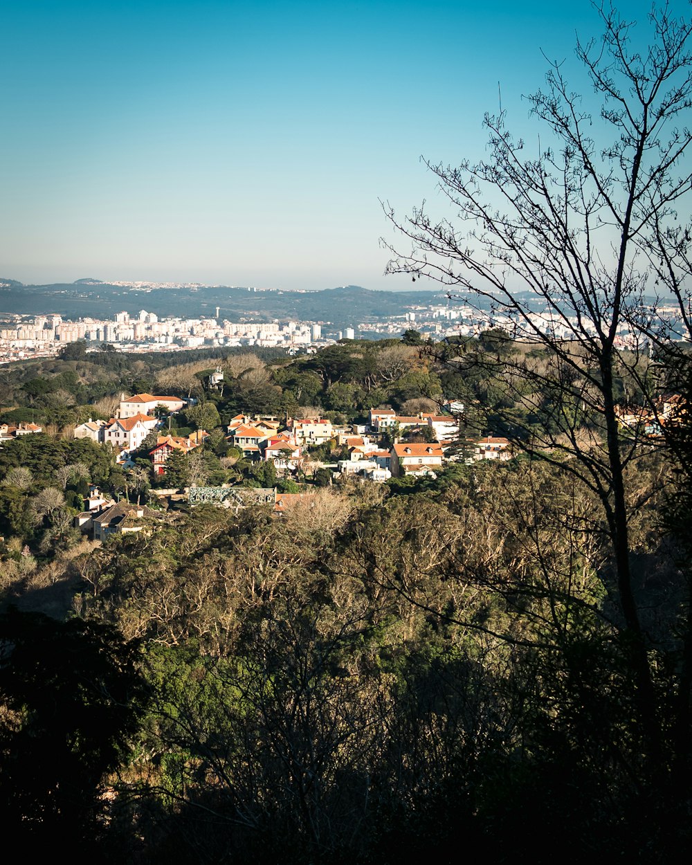 a view of a city from the top of a hill