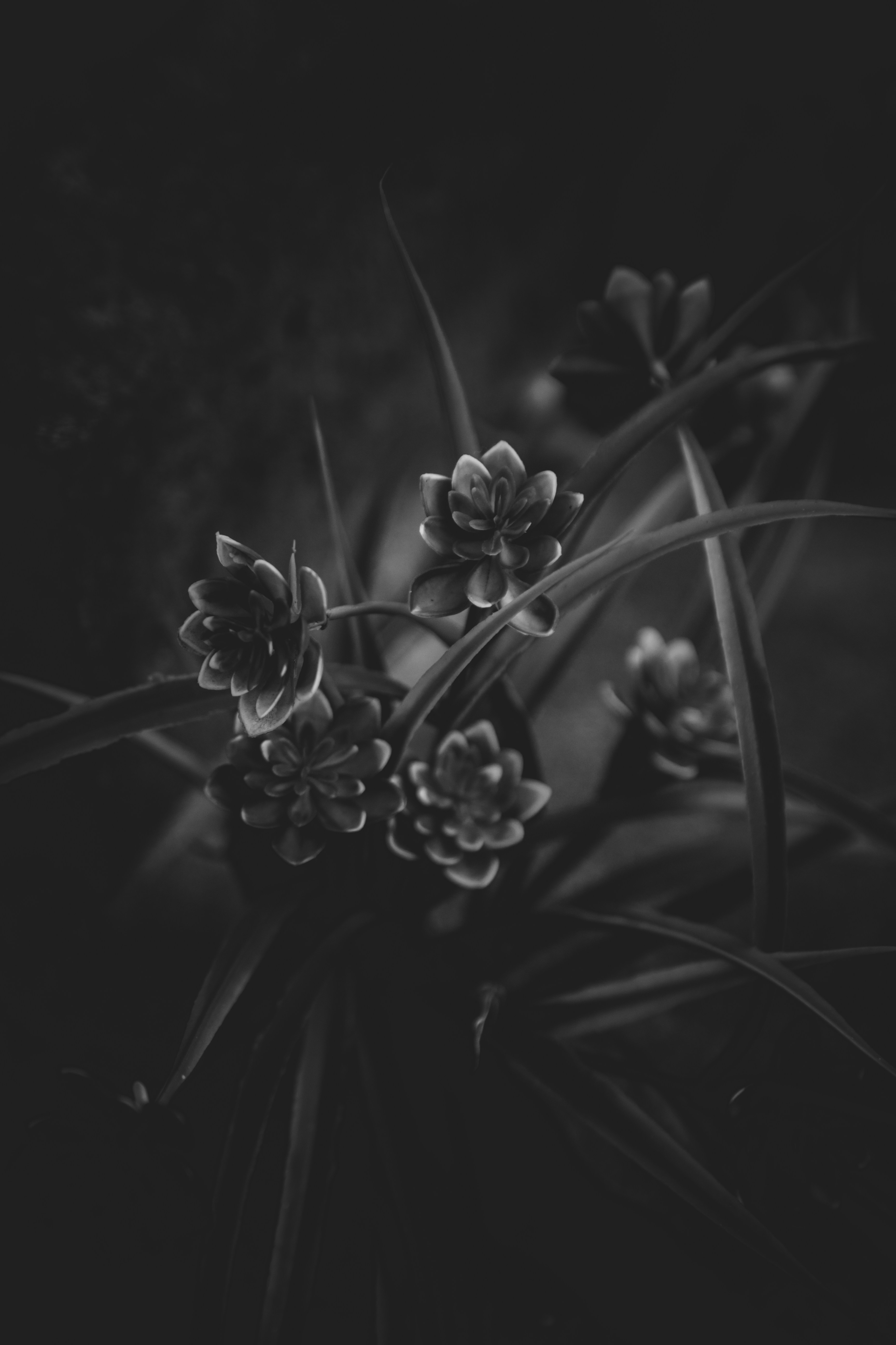 Photo by sam_badmaeva