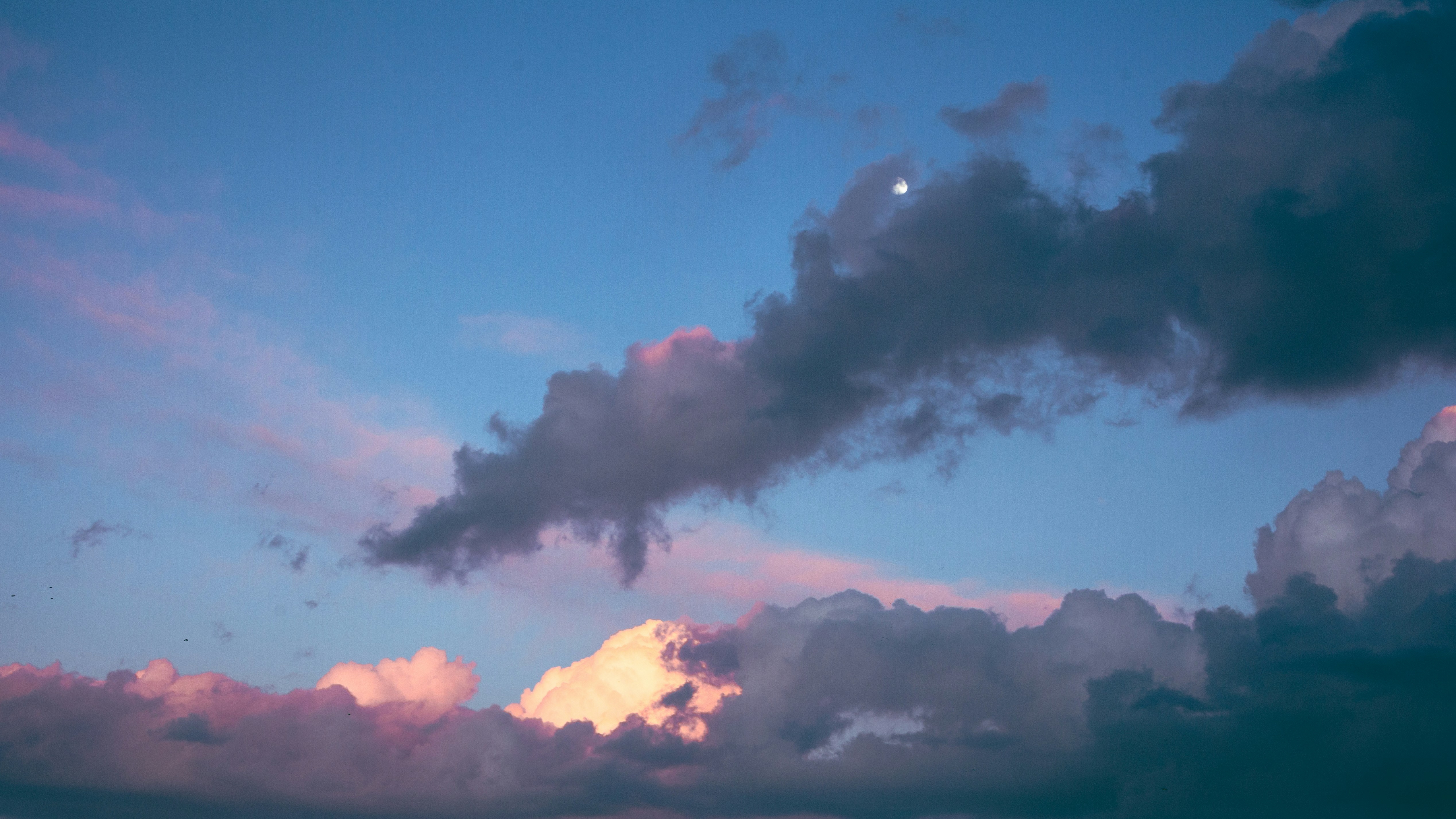 Photo by koryunhills