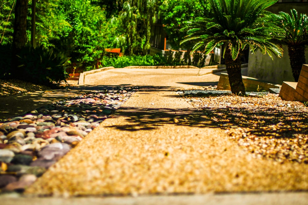 a gravel path with a bench and trees in the background