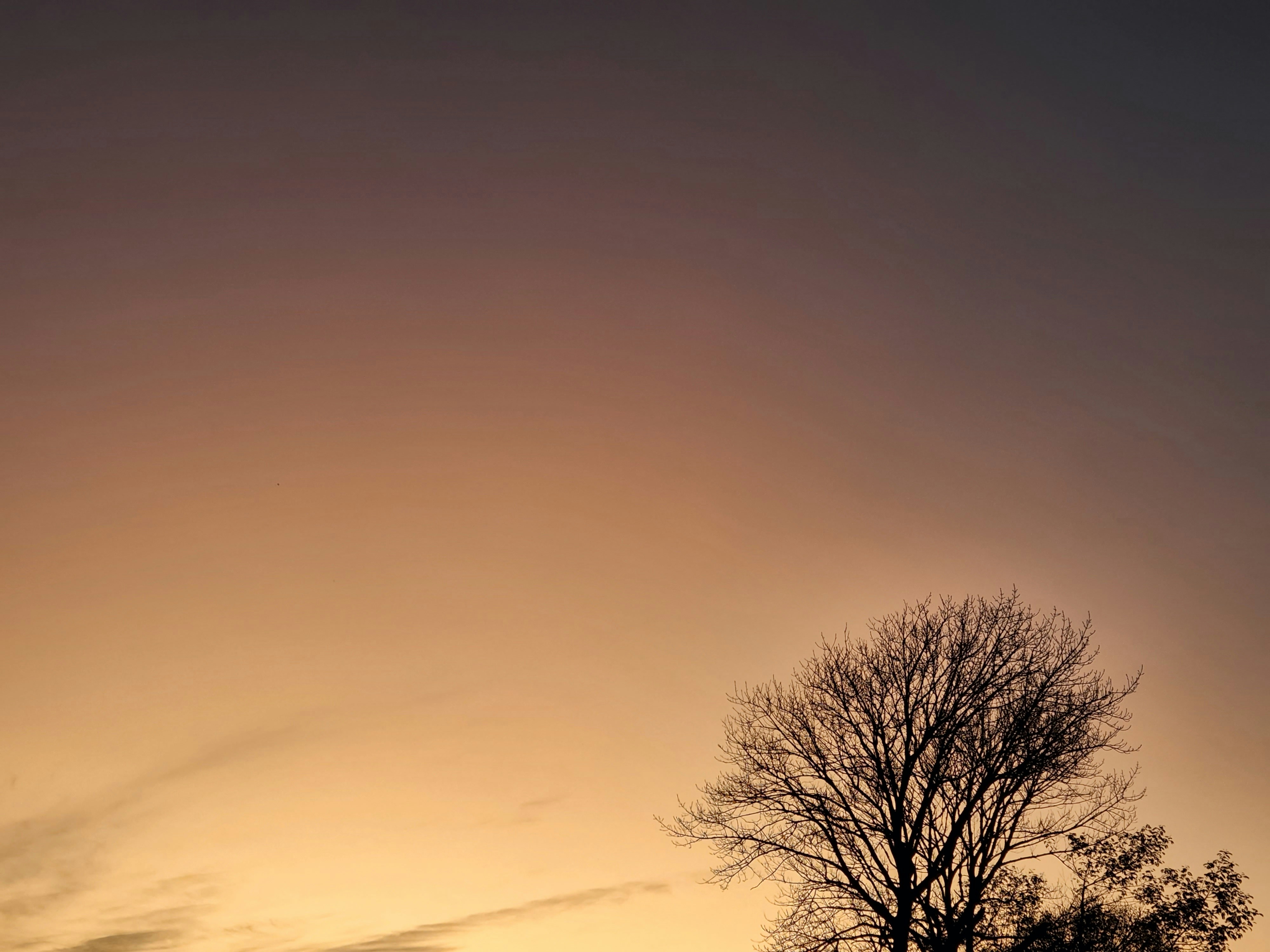 Photo by bigvisadmin