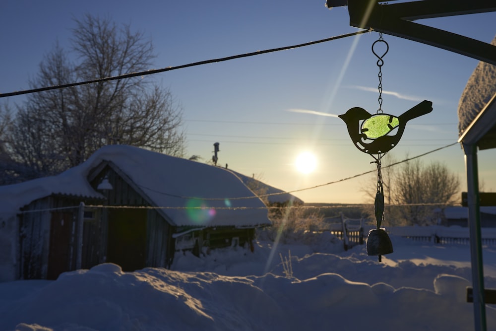 a bird hanging from a wire in the snow