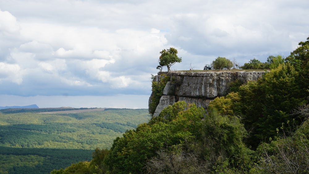 a large cliff with a tree on top of it