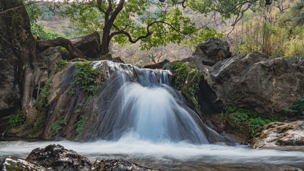 a small waterfall in the middle of a forest