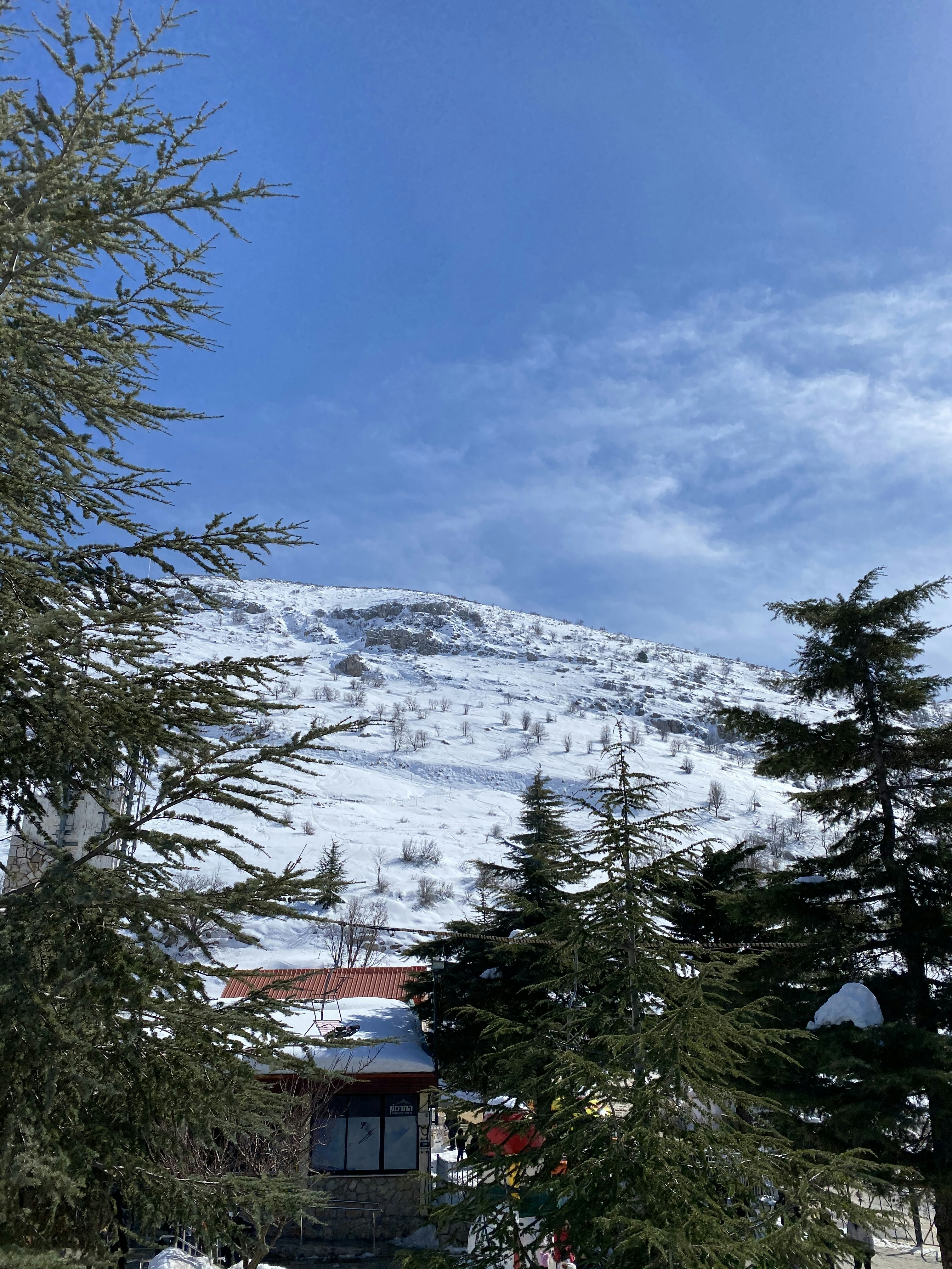A mountain covered in snow with trees in the foreground photo – Free ...