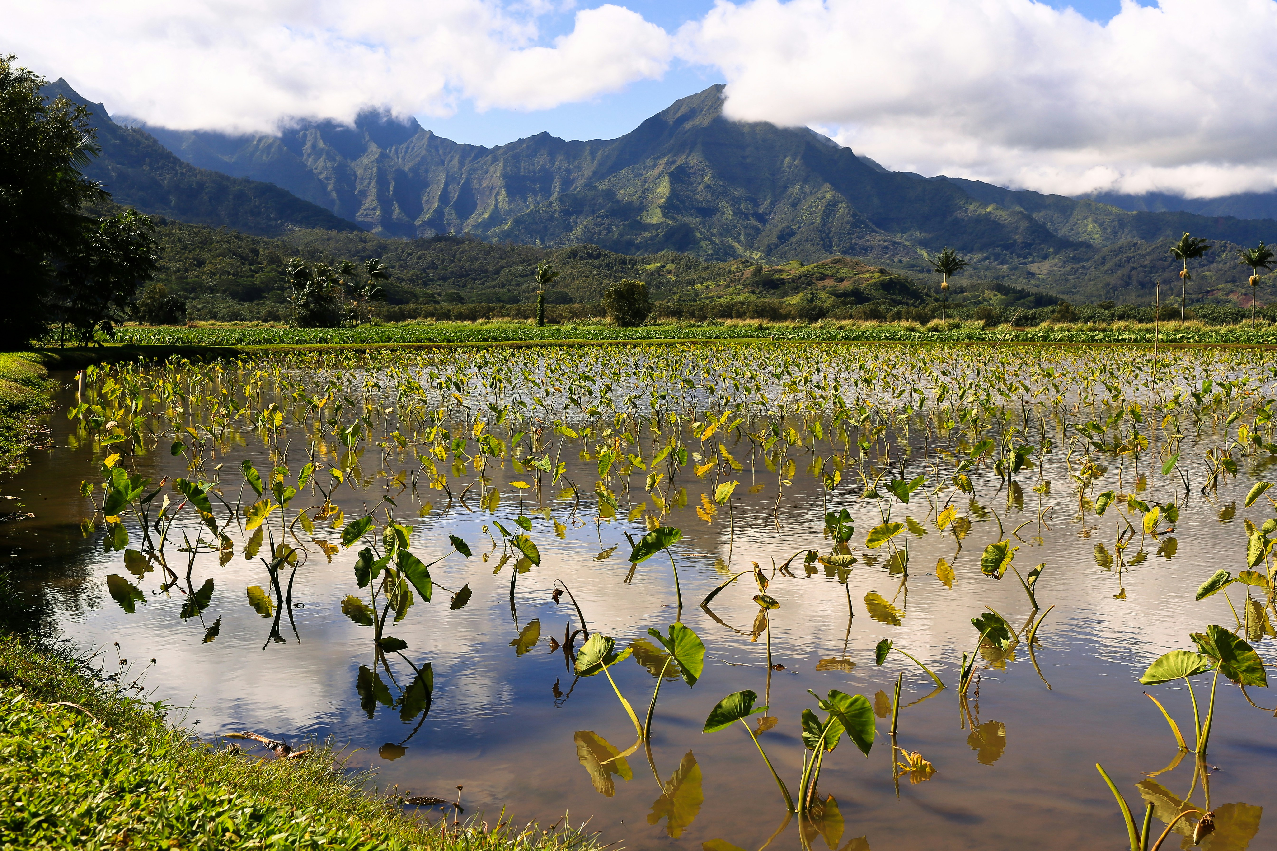 Photo by terry885908