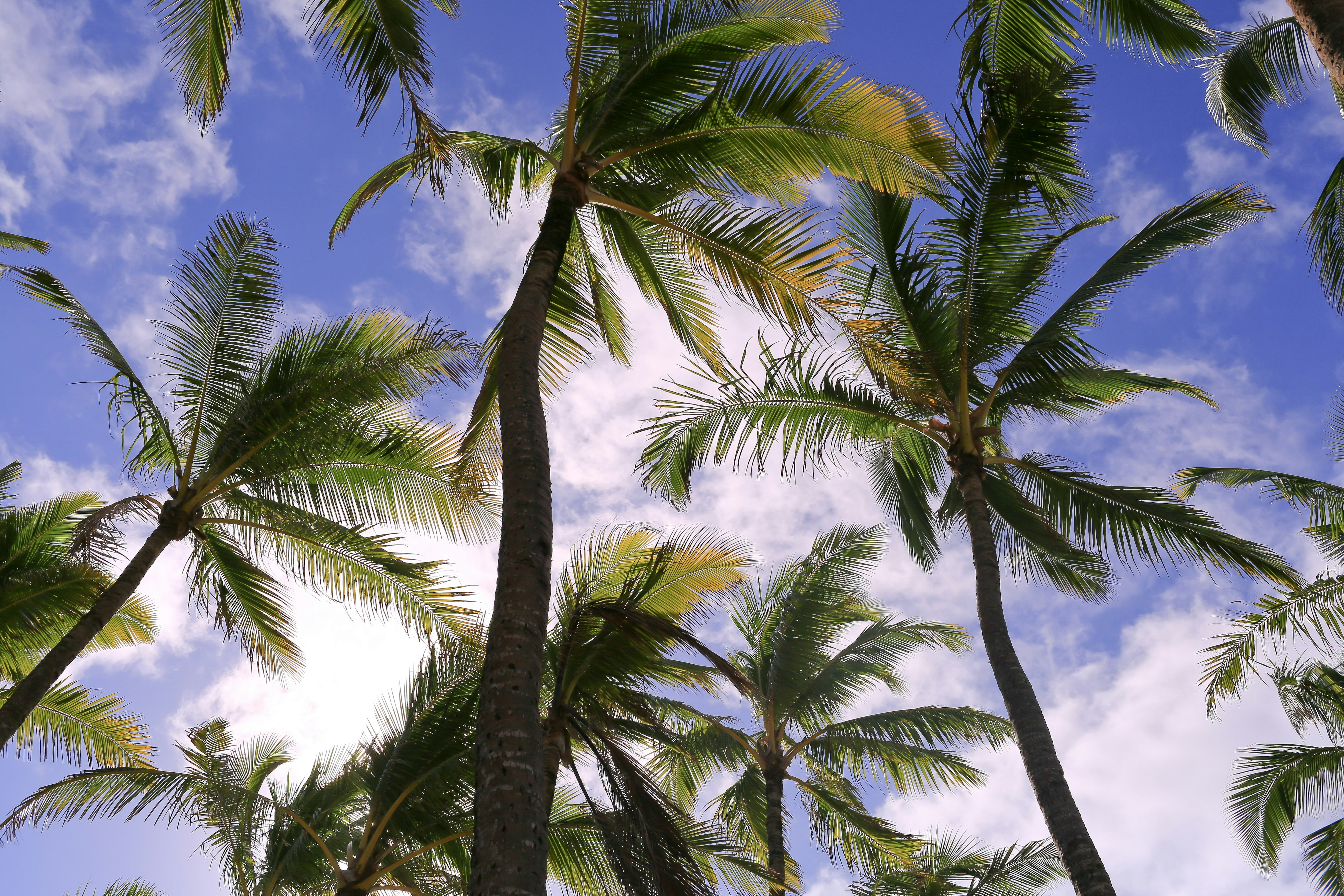 Photo by terry885908